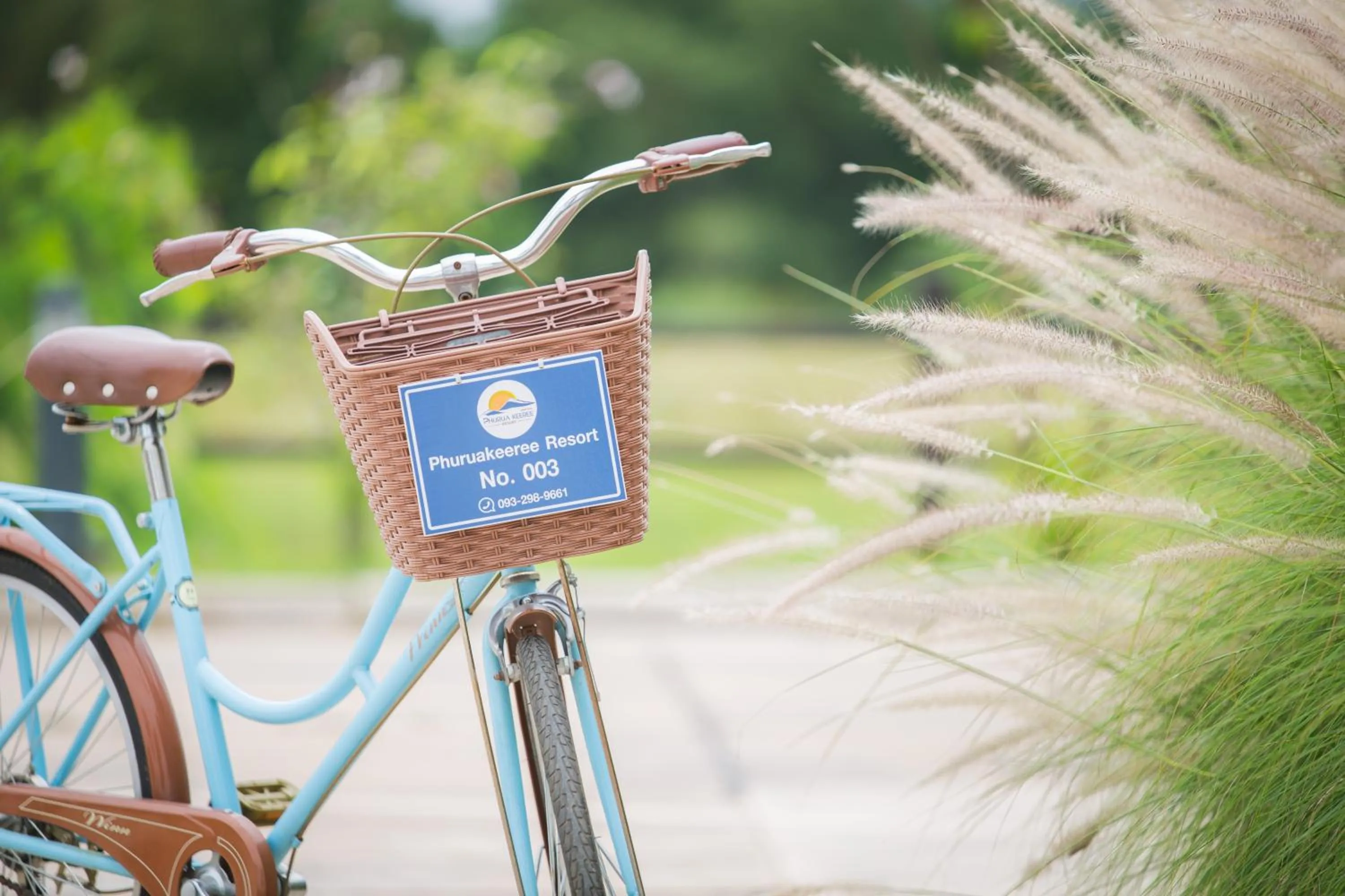 Cycling in Phuruakeeree Resort