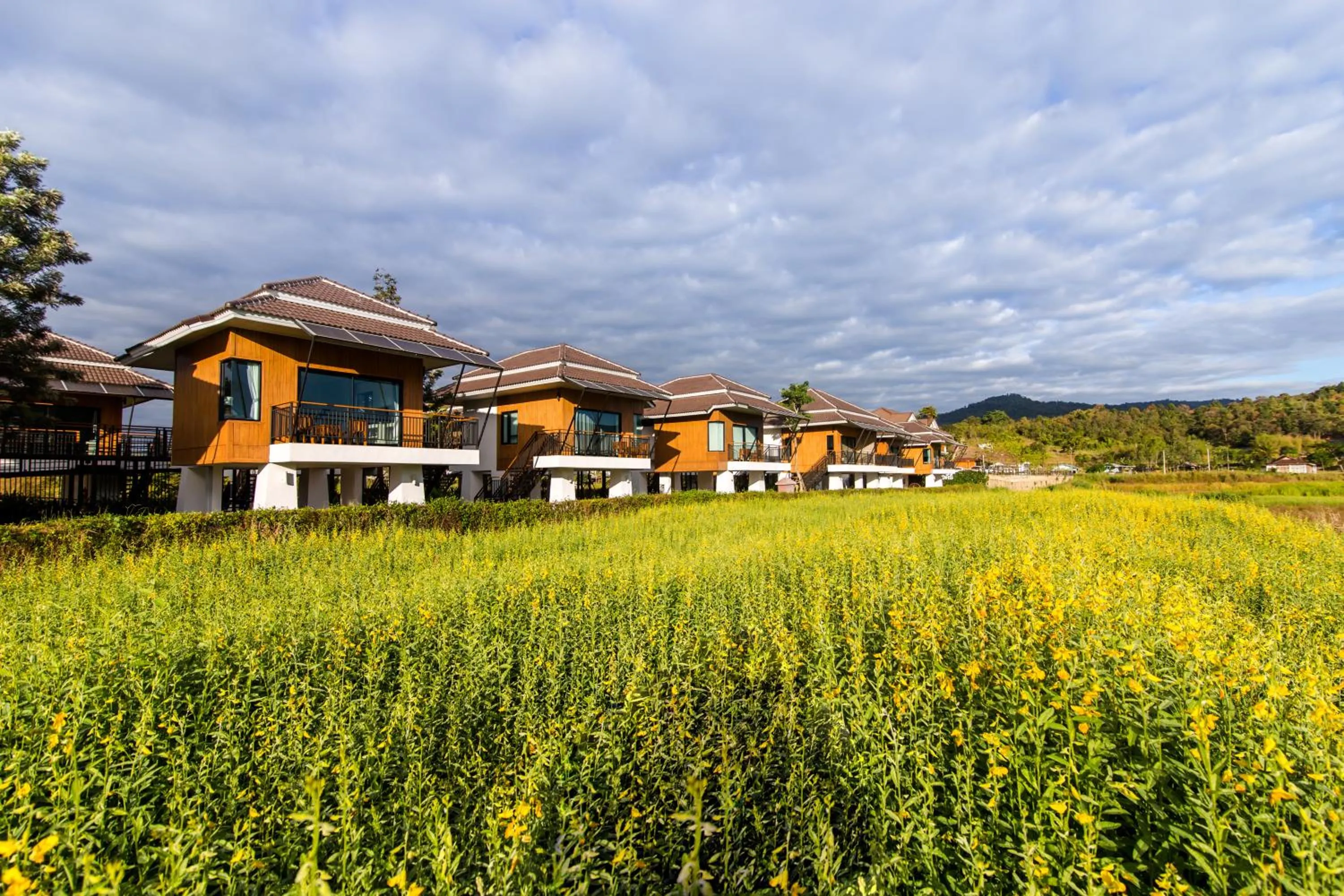 Garden view in Phuruakeeree Resort