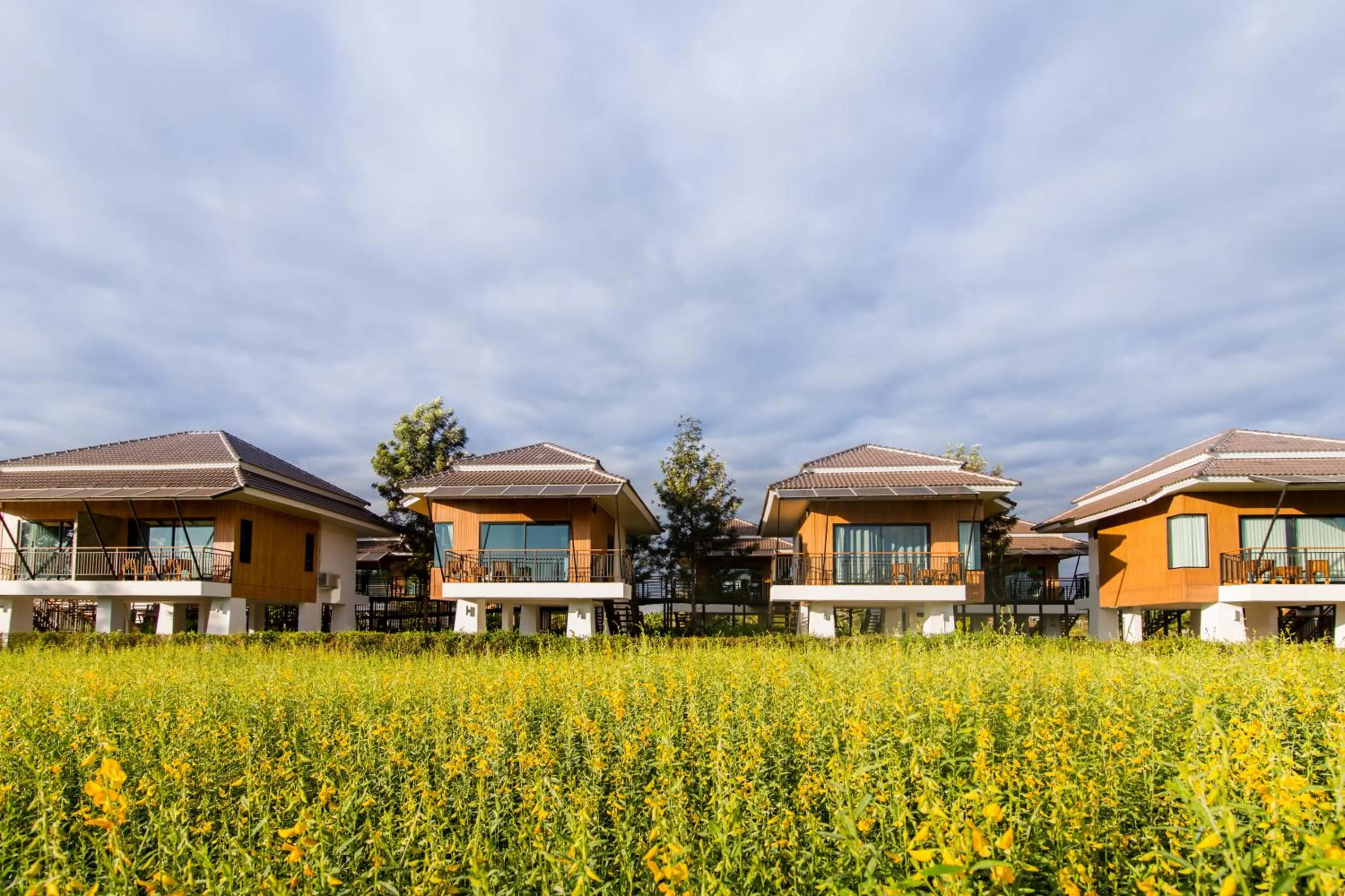 Garden view in Phuruakeeree Resort