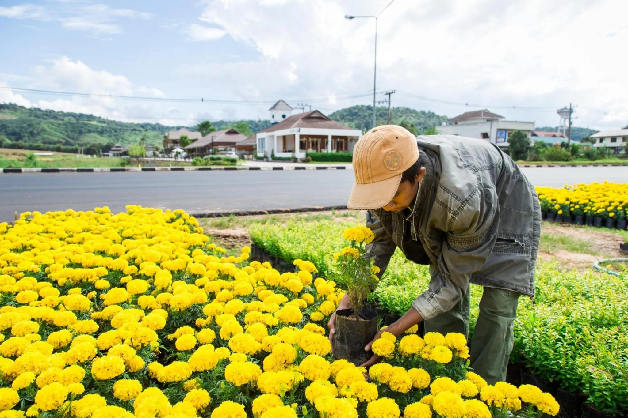 Off site in Phuruakeeree Resort