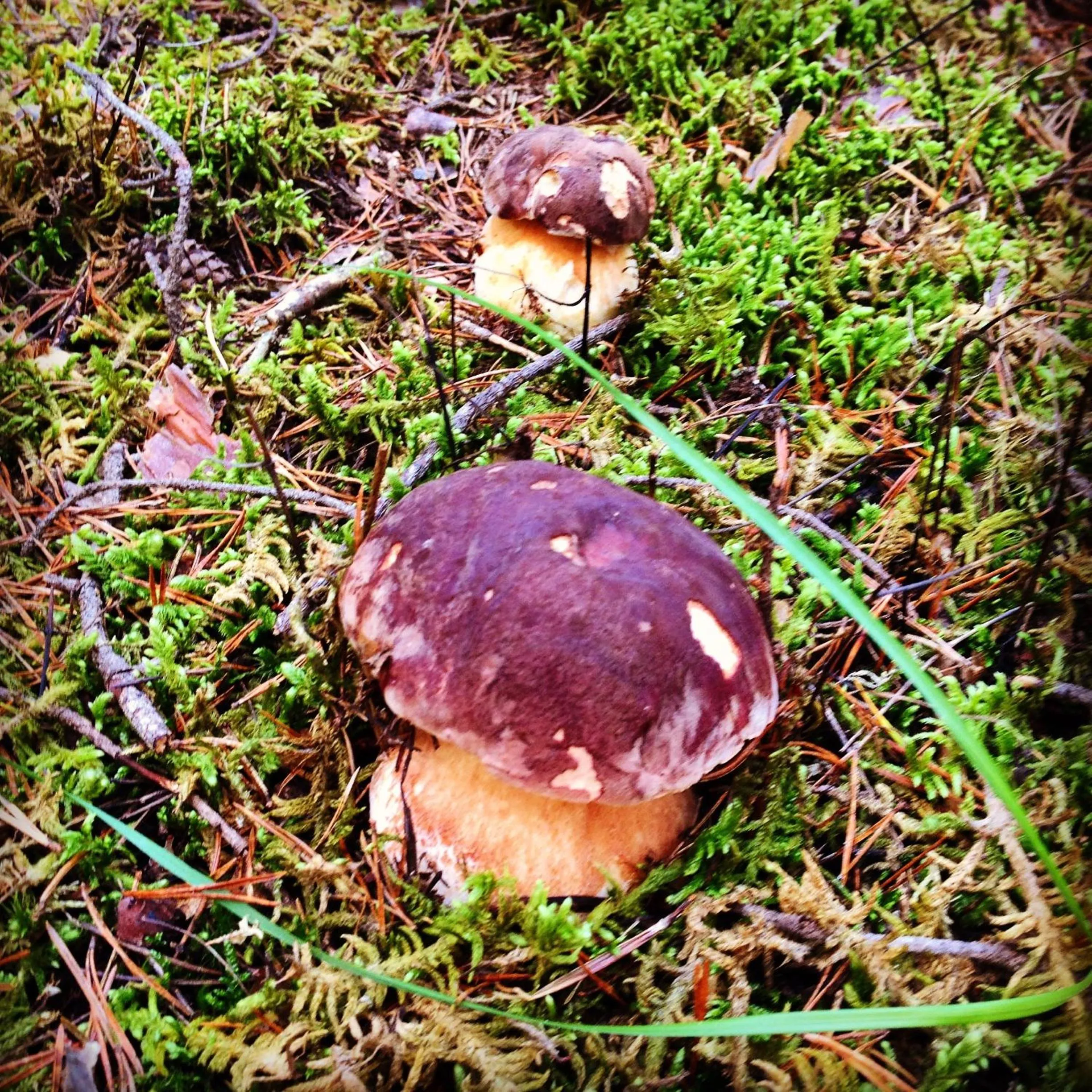 Off site in Hotel Diamó