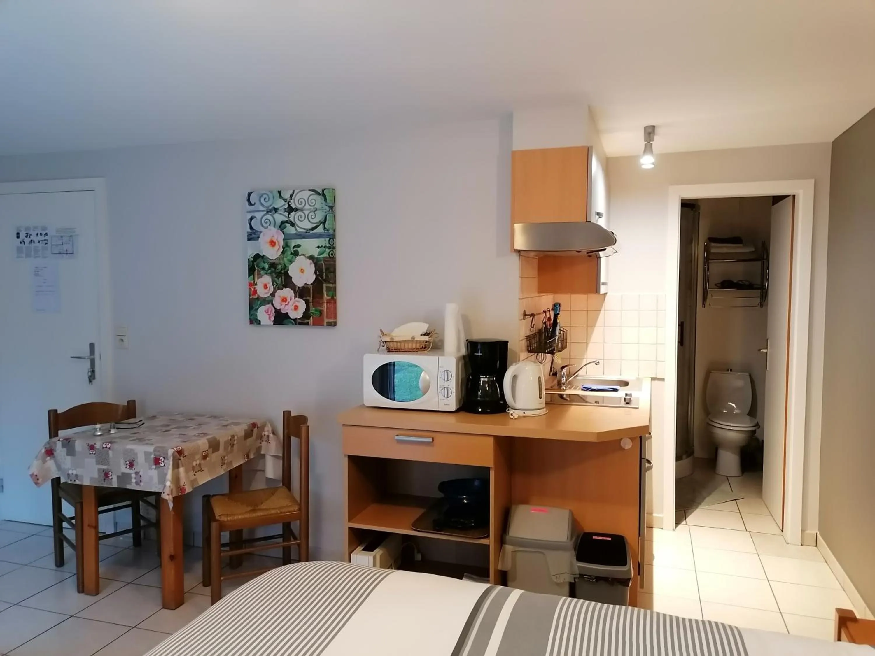 Photo of the whole room in L'Horizon Studios & Apparts