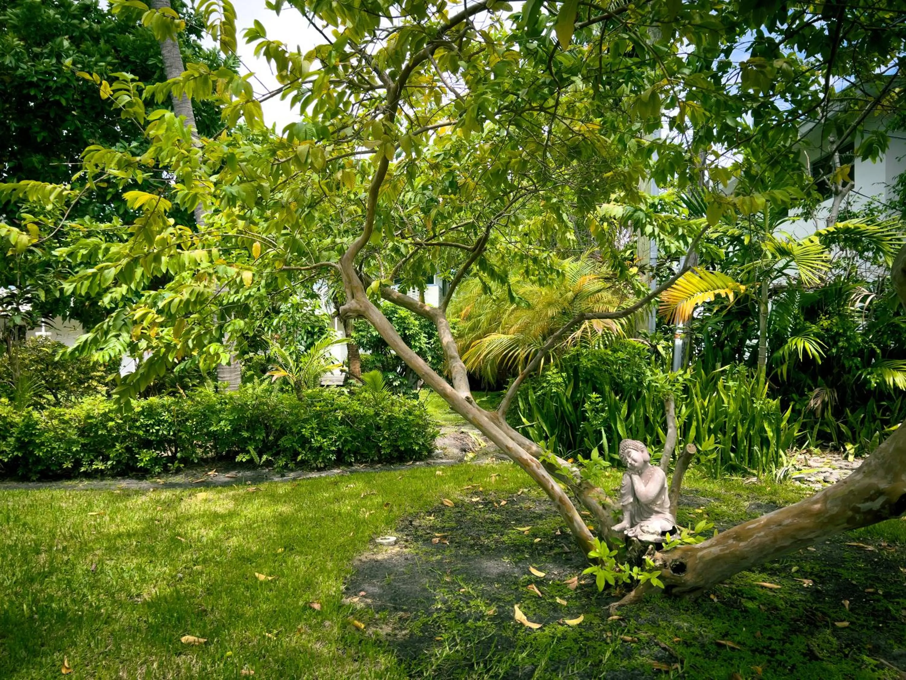 Natural landscape in Beach Gardens