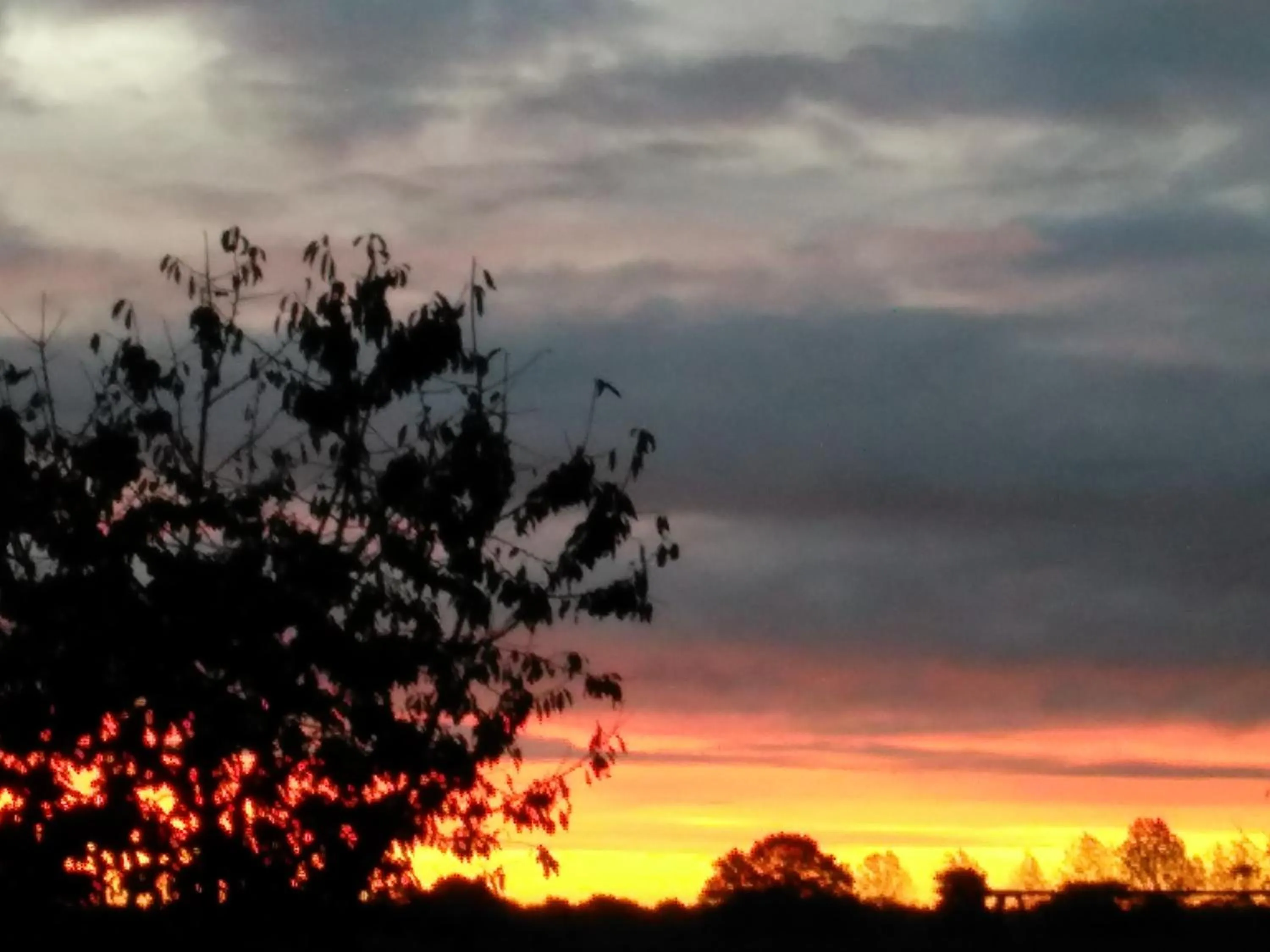 Garden view in Anna's B&B Rijssen