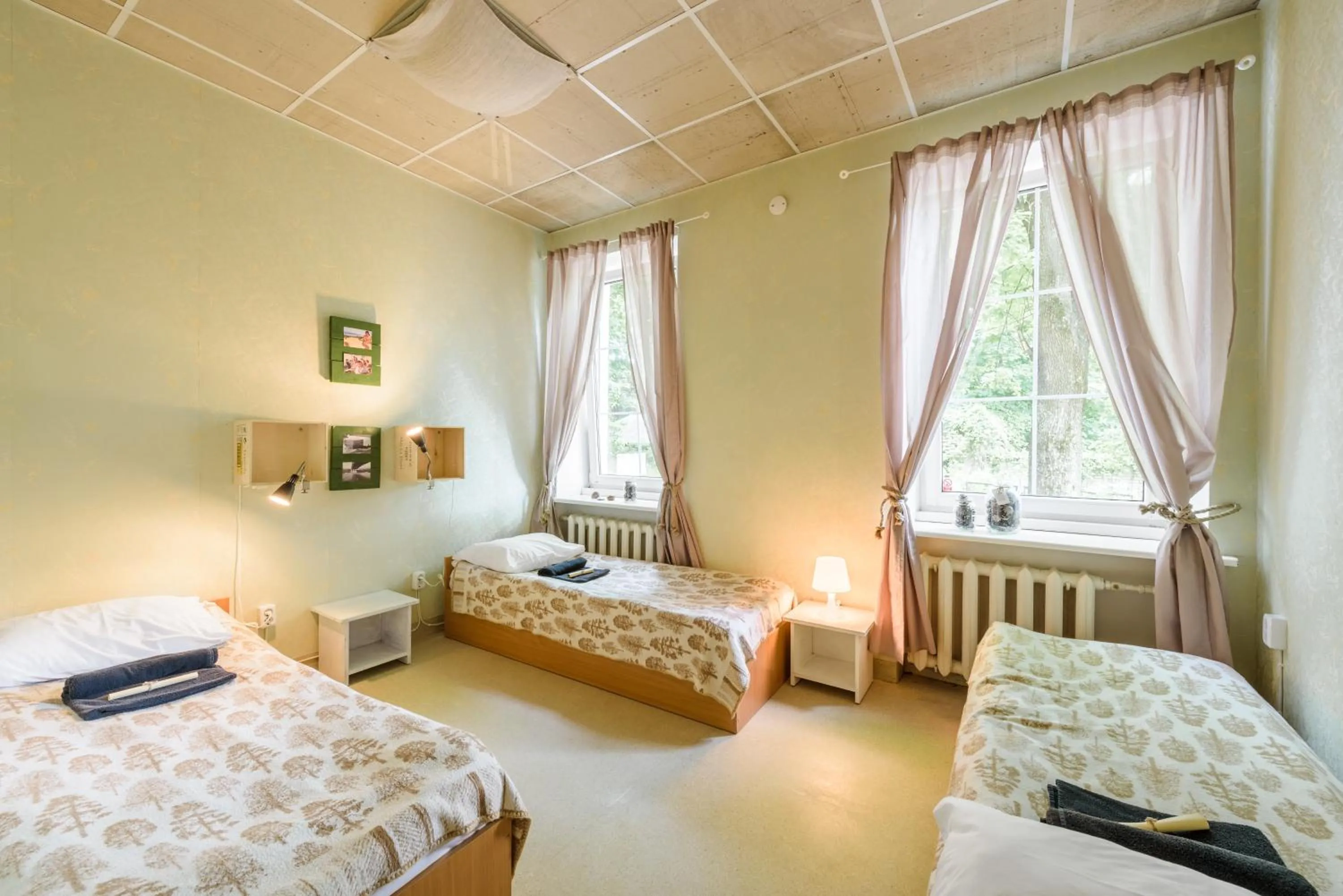 Photo of the whole room, Bed in Downtown Forest Hostel & Camping