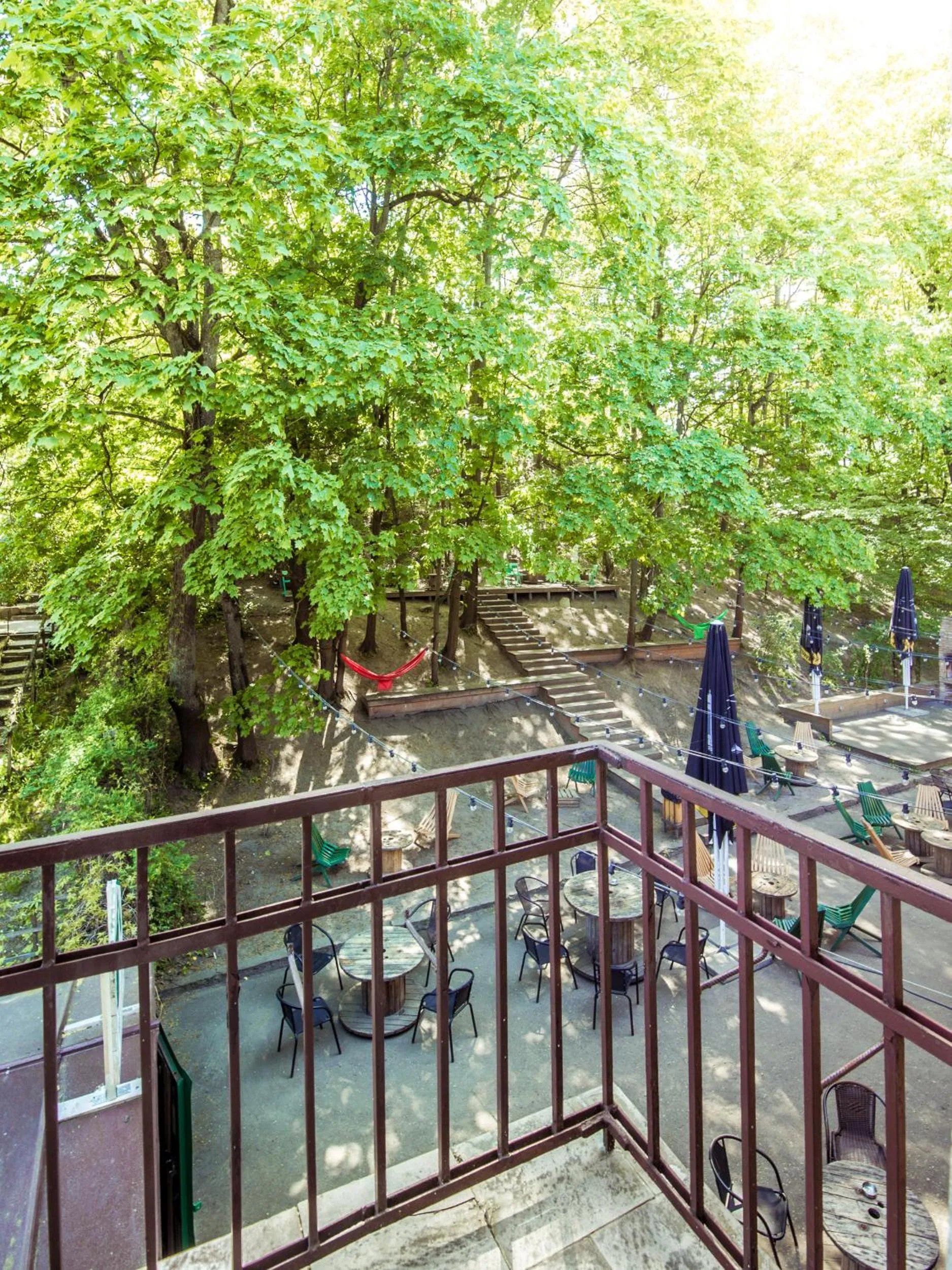 Garden in Downtown Forest Hostel & Camping