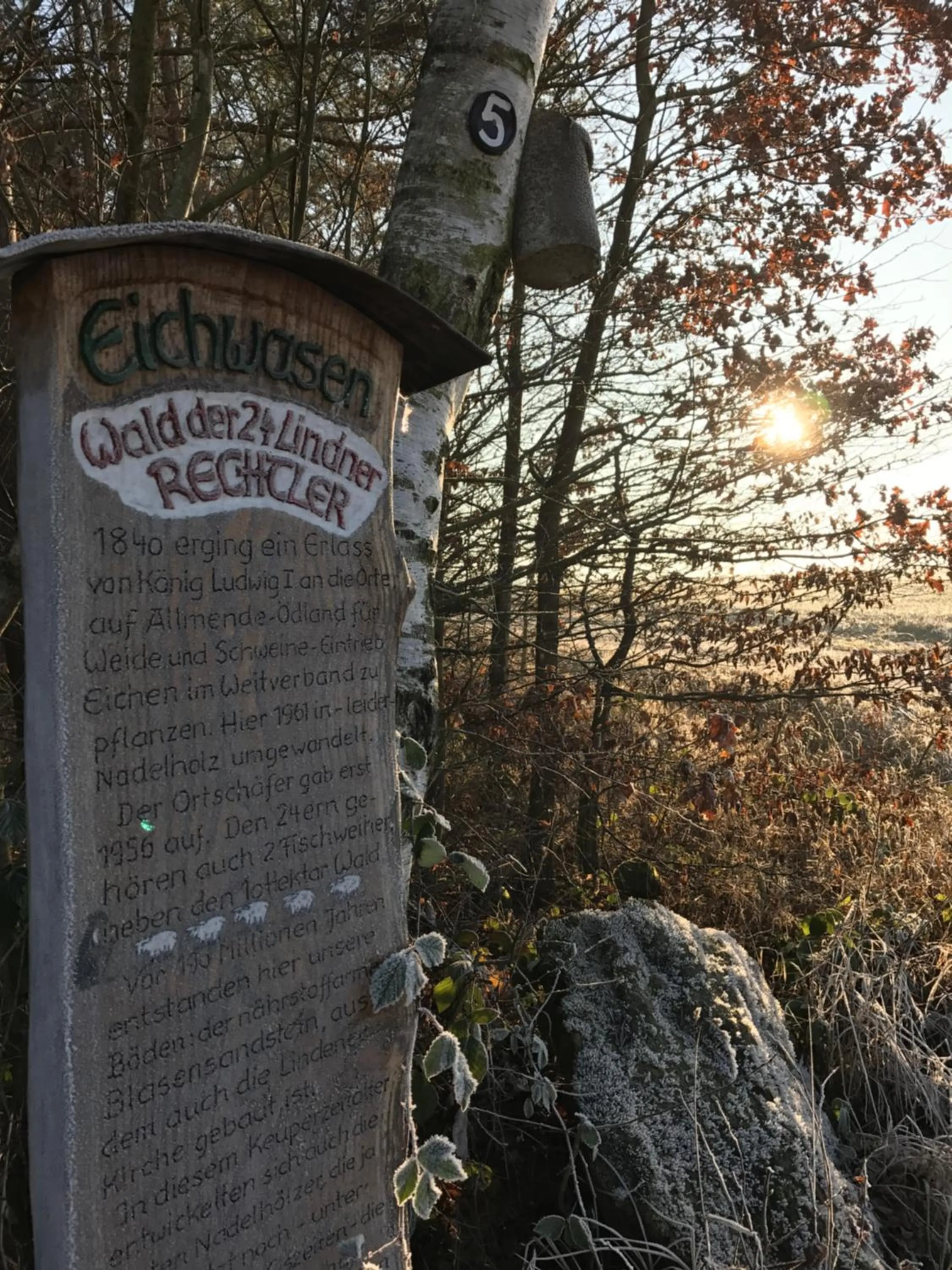 Natural landscape in Landhotel Rangau Gasthof & Brennerei