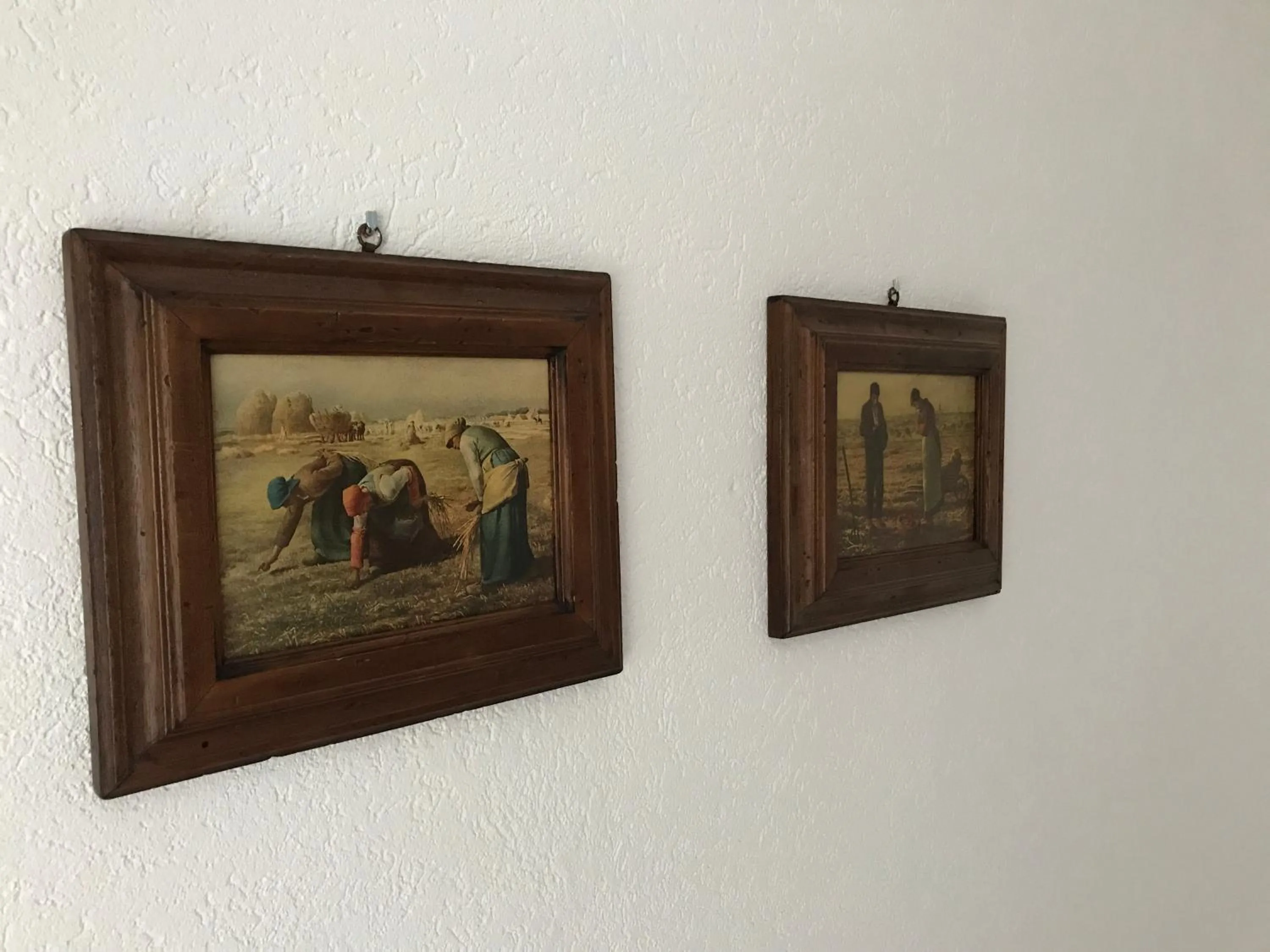 Area and facilities in Landhotel Rangau Gasthof & Brennerei