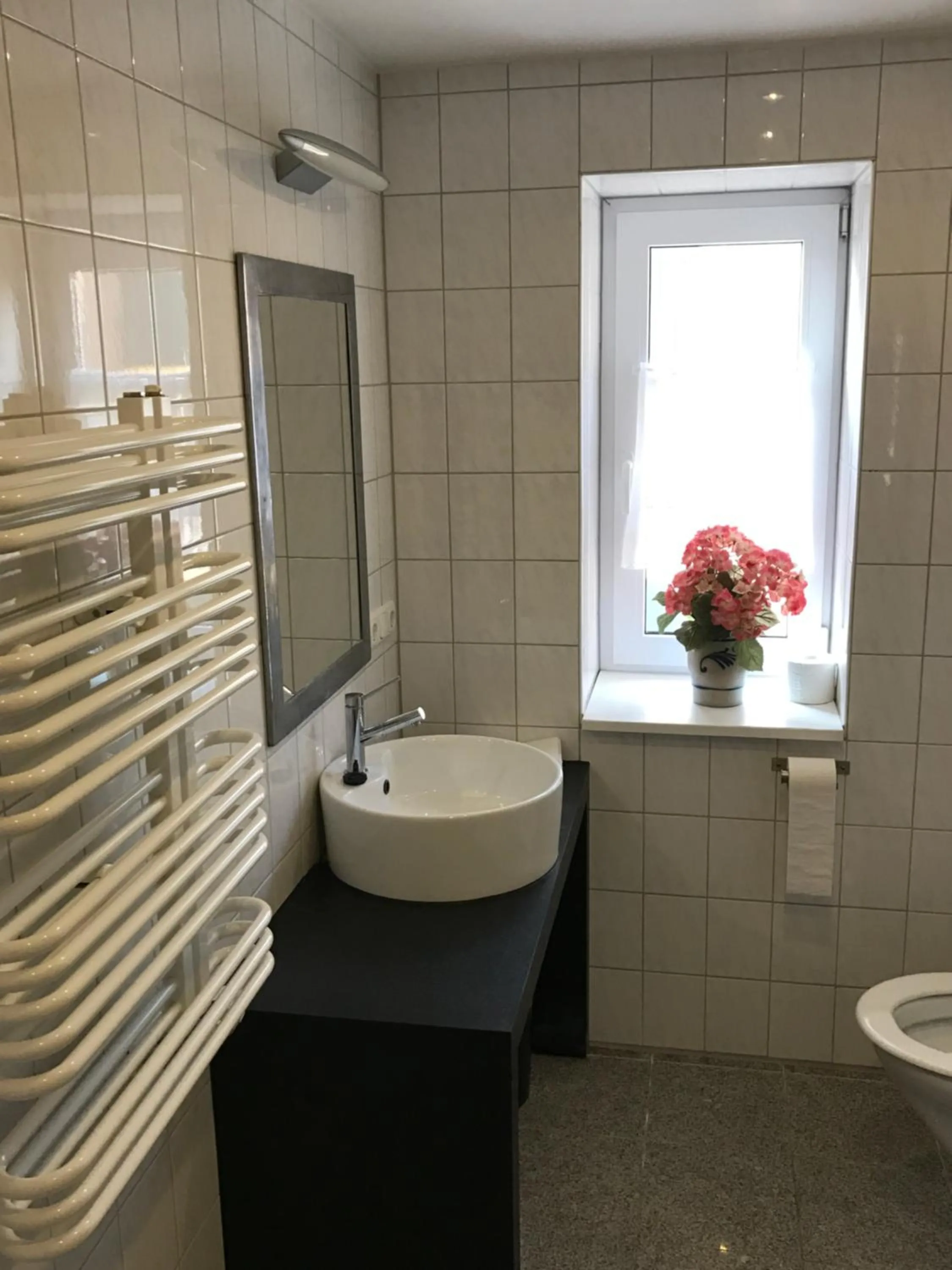 Bathroom in Landhotel Rangau Gasthof & Brennerei