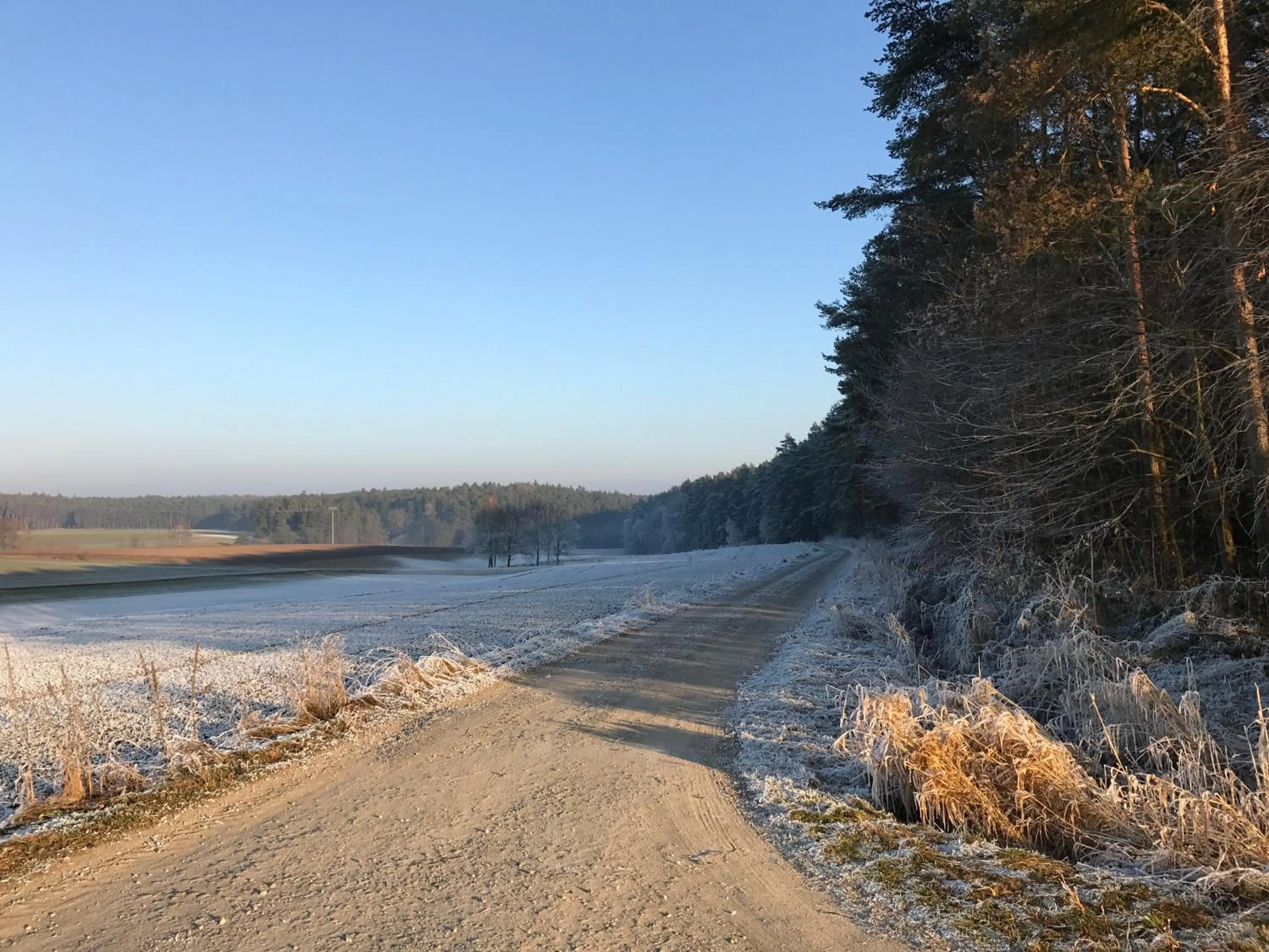 Area and facilities in Landhotel Rangau Gasthof & Brennerei