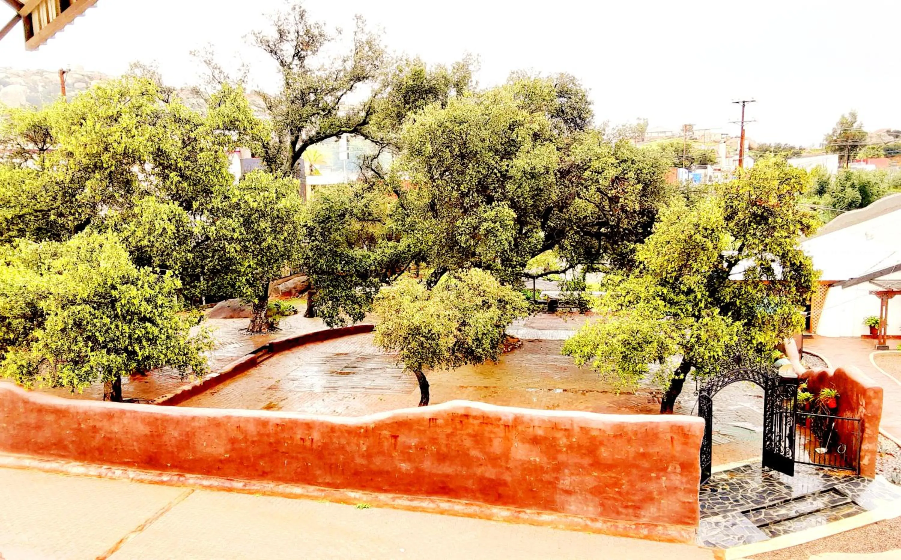 Garden view in Hotel Hacienda Santana