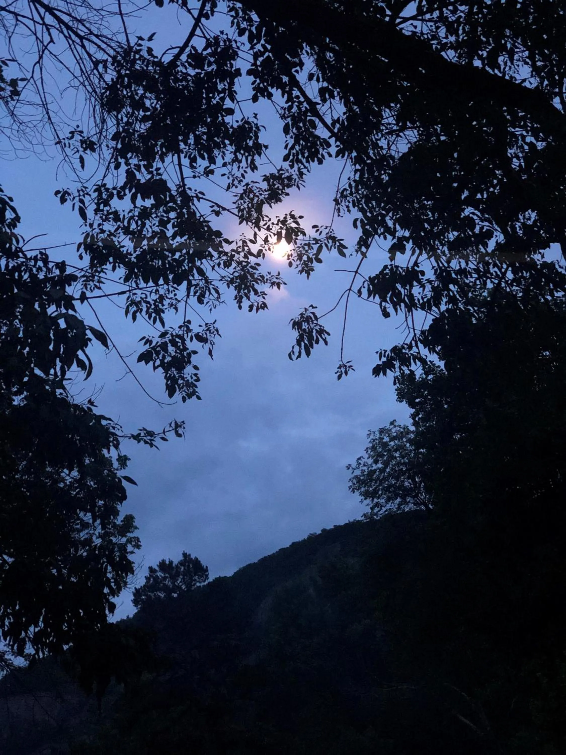 The Evening Shade River Lodge and Cabins