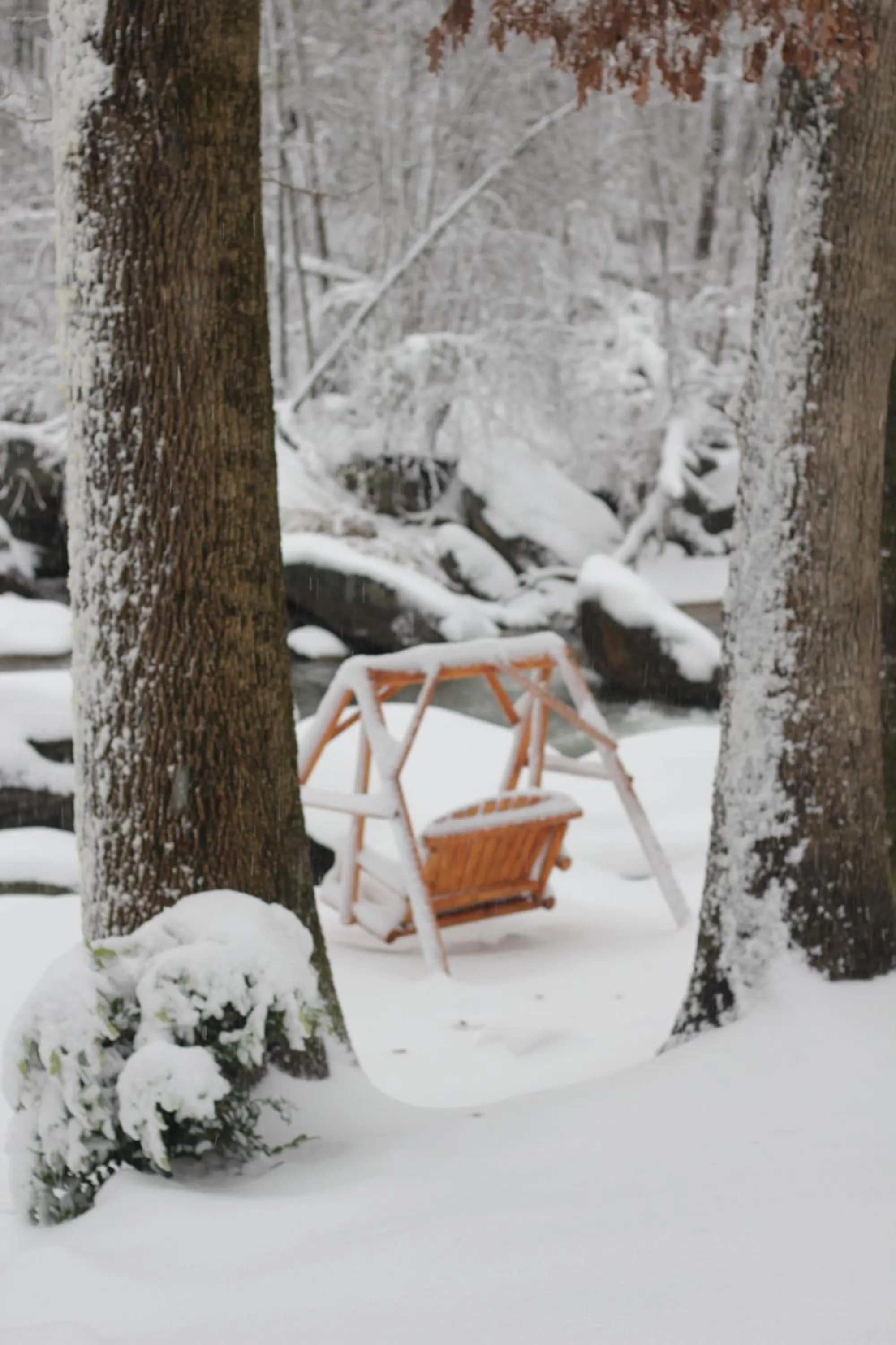 The Evening Shade River Lodge and Cabins