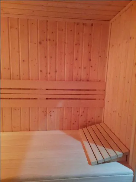 Sauna in Willa ASPEN