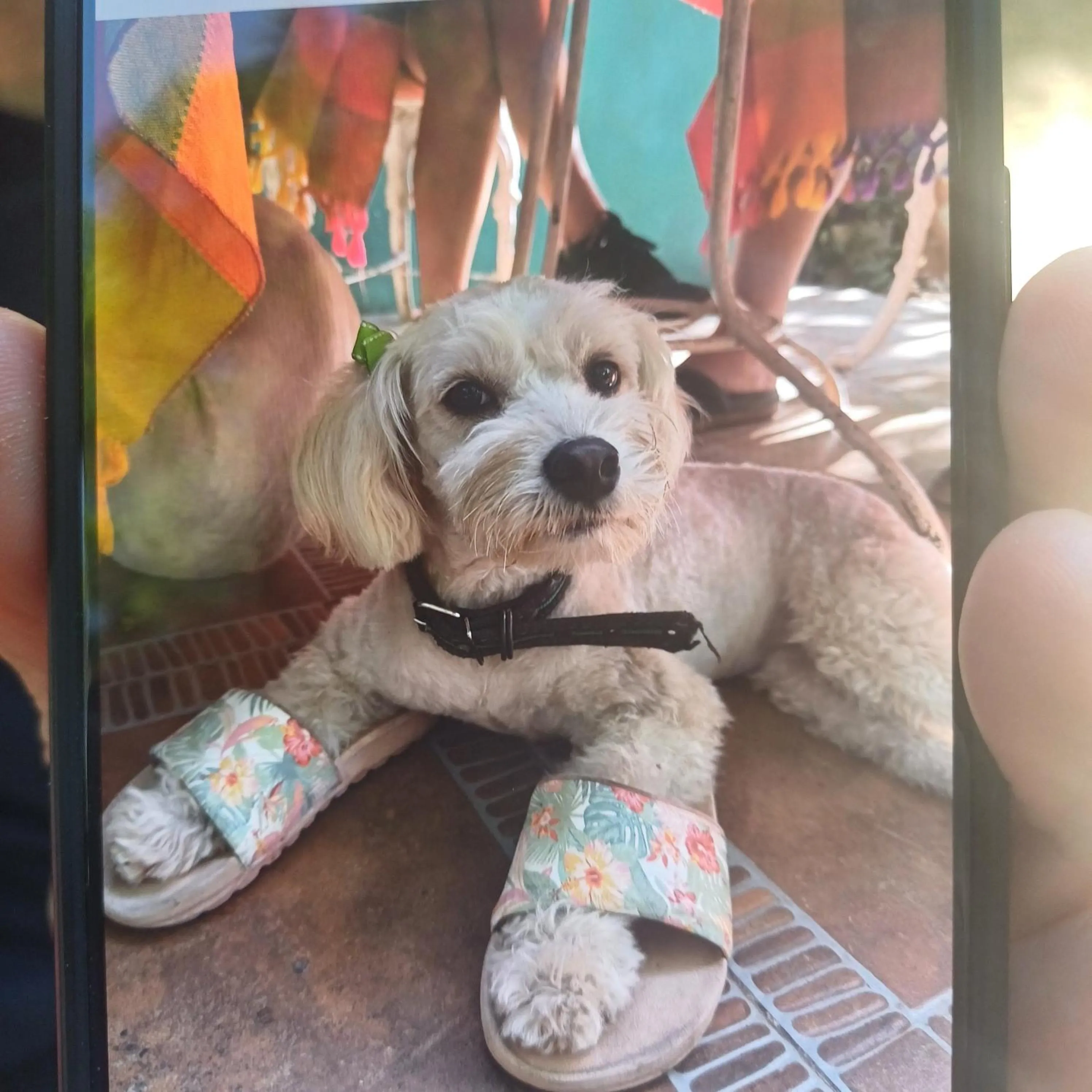Mayan Bungalow Near Chichén