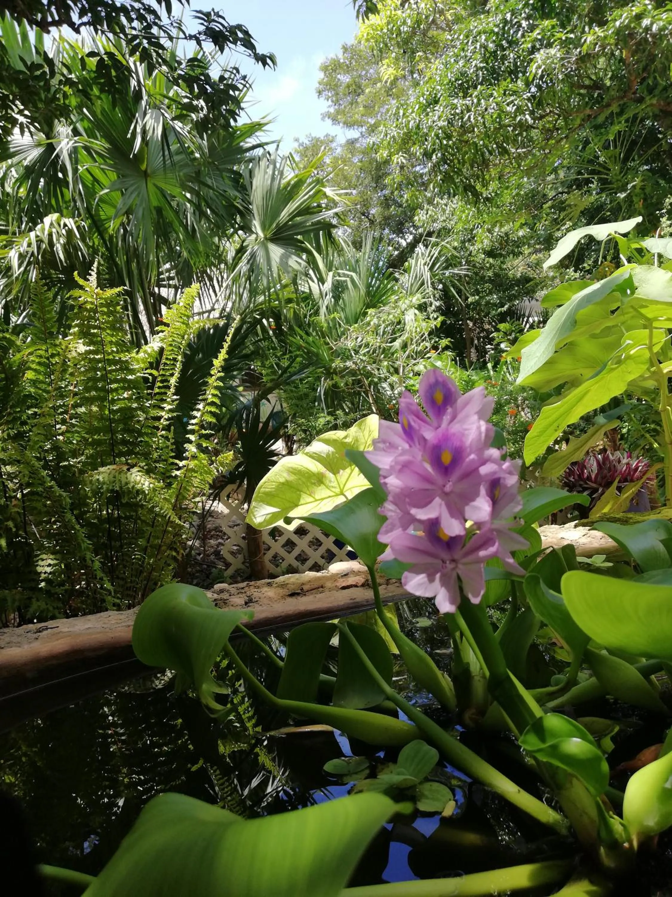 Mayan Bungalow Near Chichén