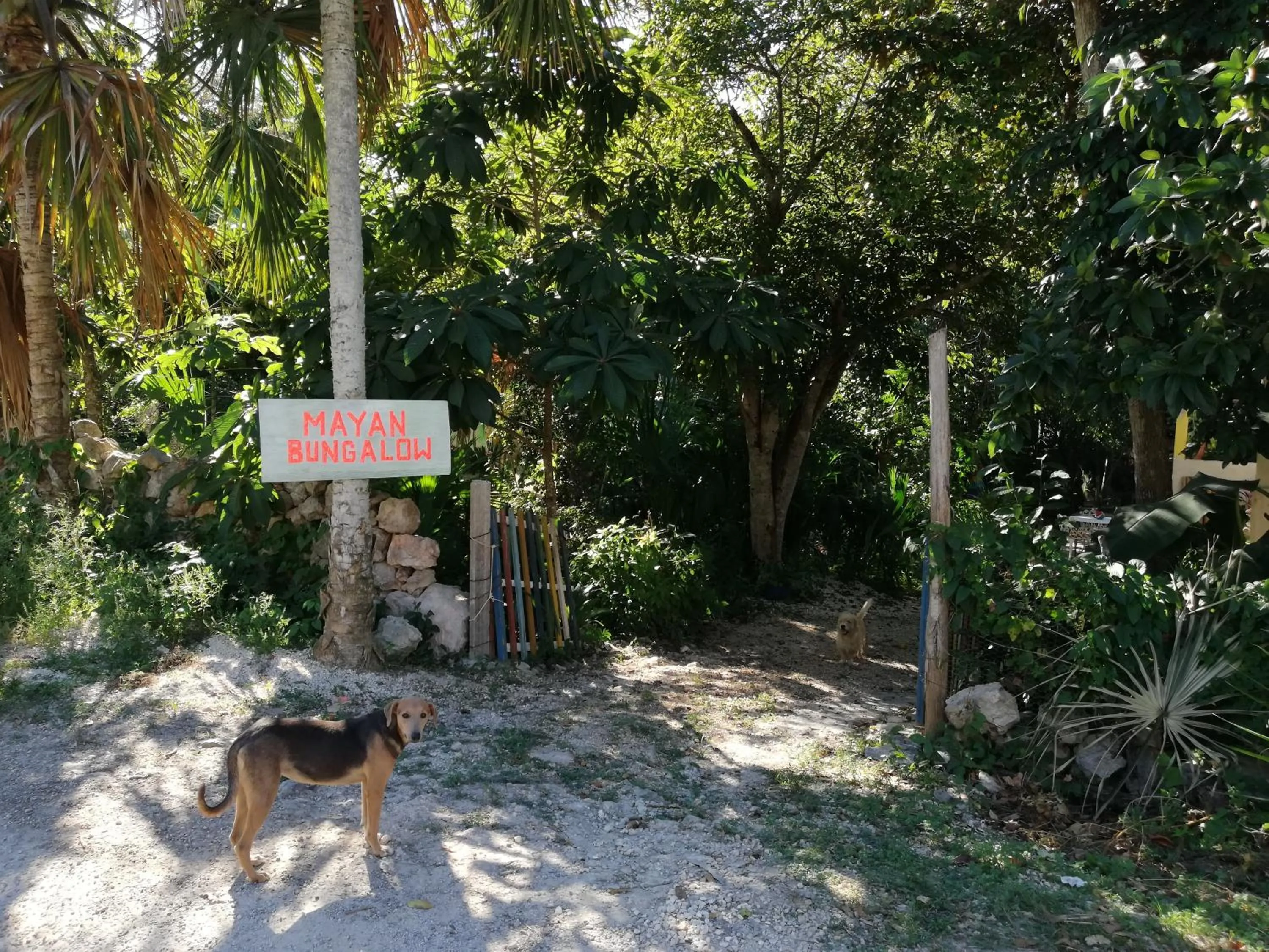 Facade/entrance in Mayan Bungalow Near Chichén