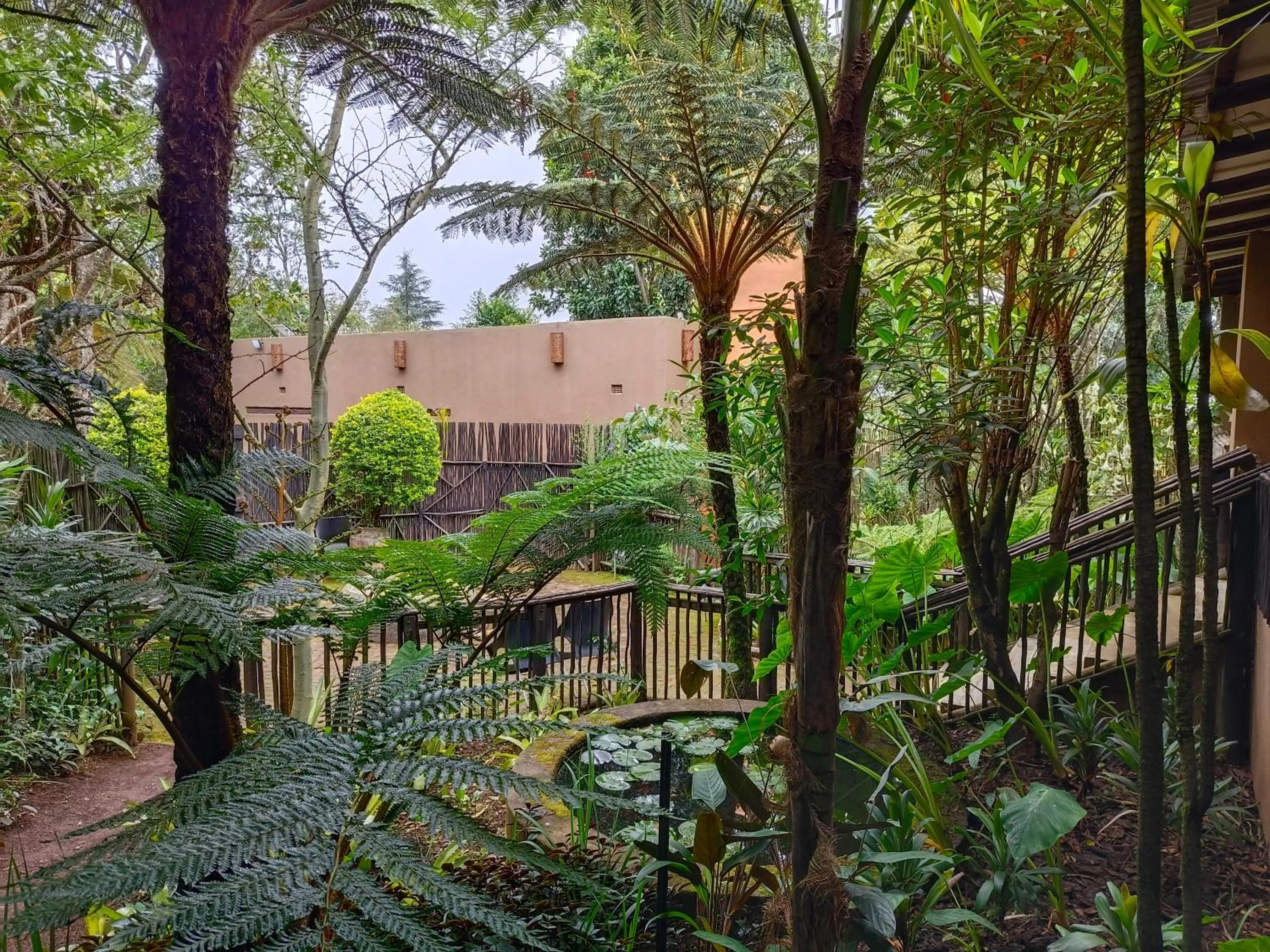 Dar Amane Guest House