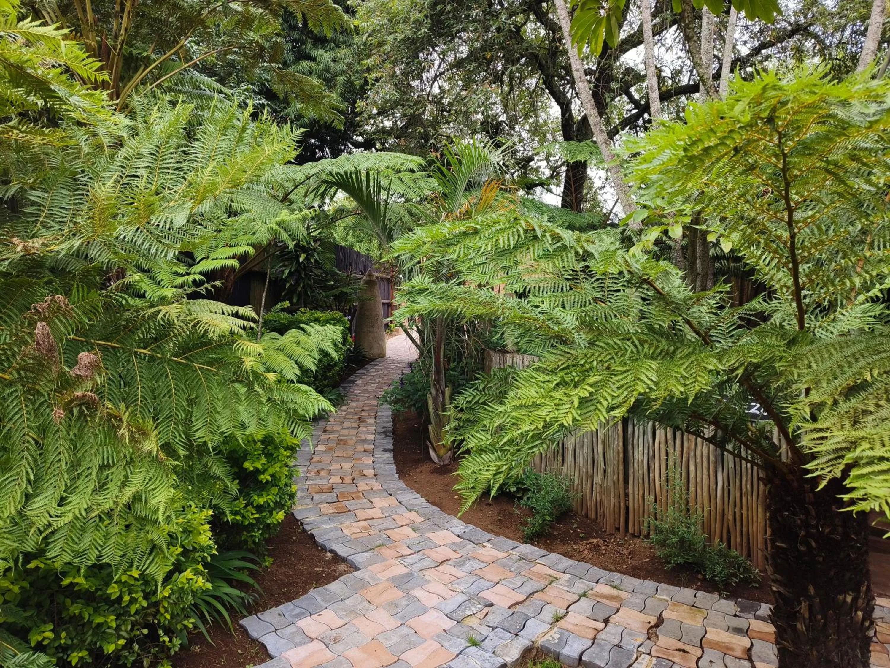 Dar Amane Guest House