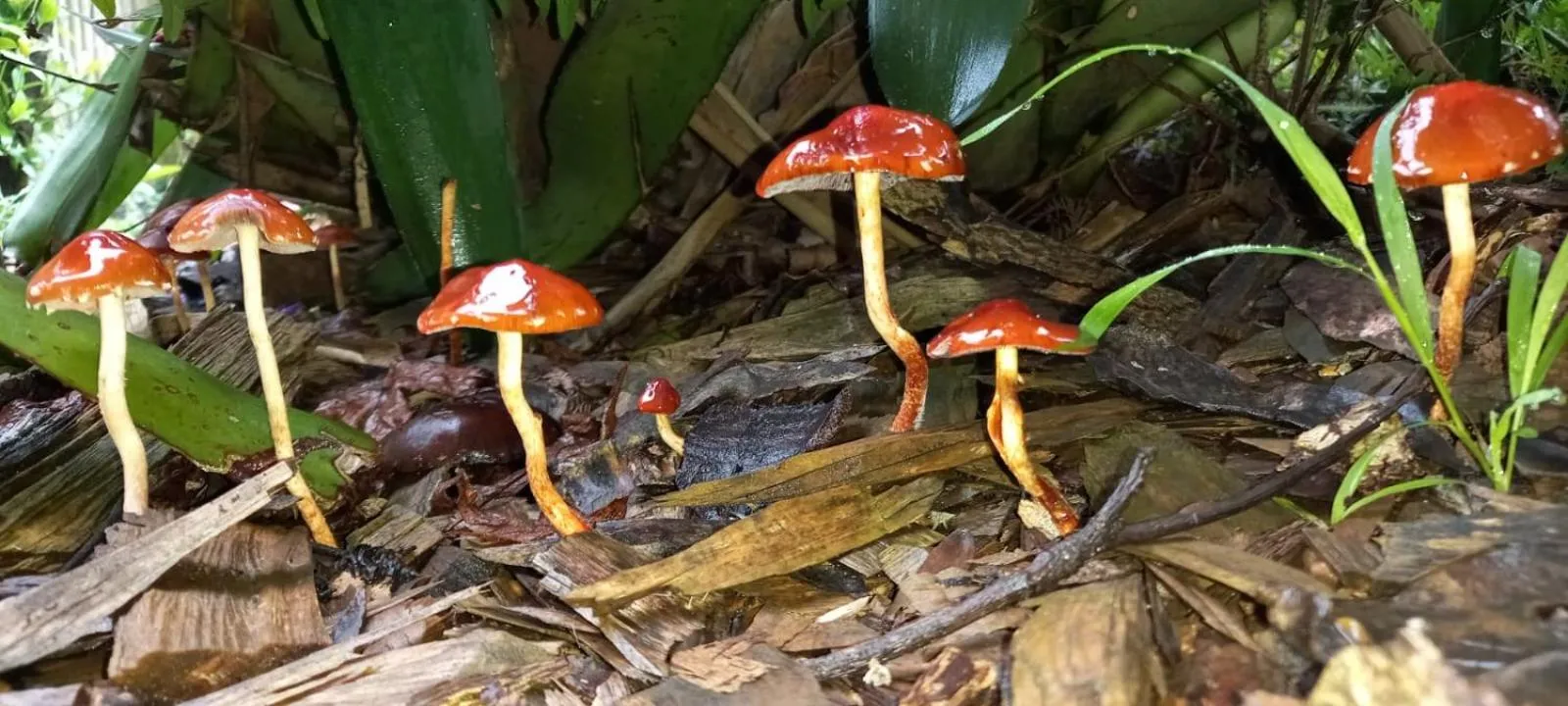 Dar Amane Guest House