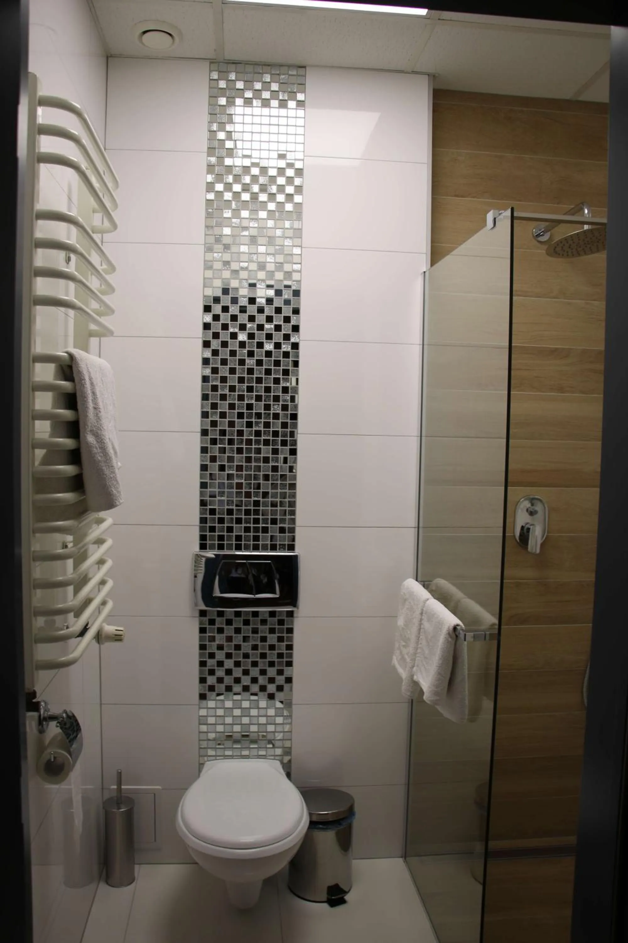 Shower in Hotel Calisia