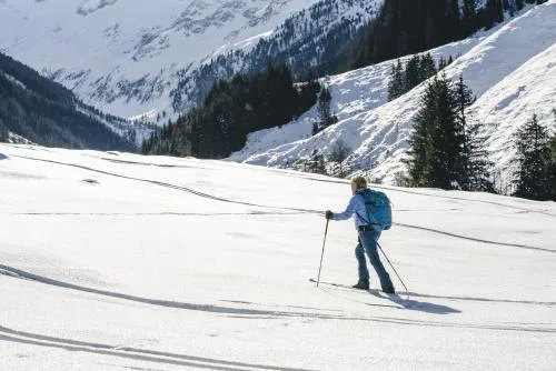 Traumhotel Alpina Superior