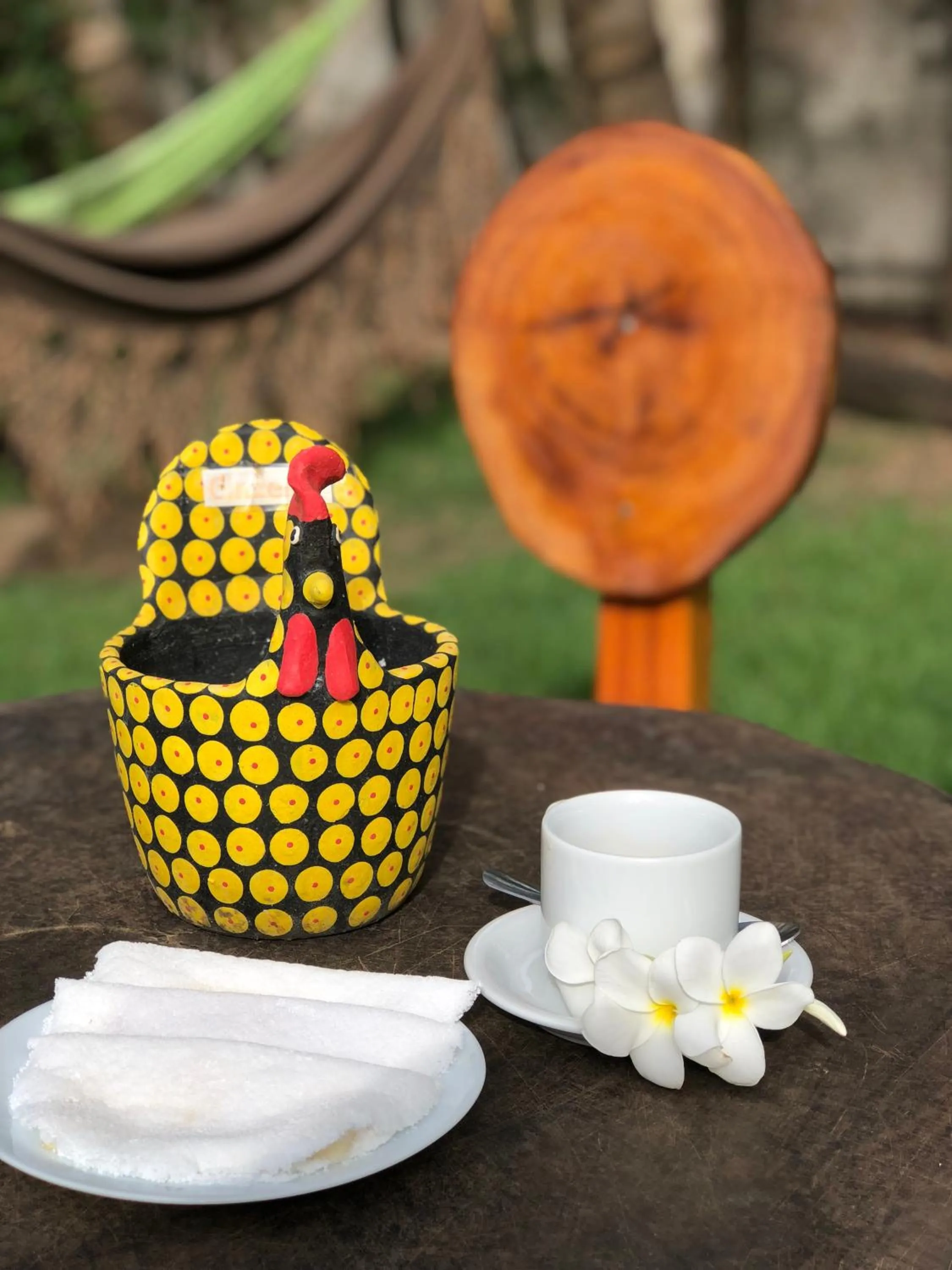 Garden in Pousada Maraoka