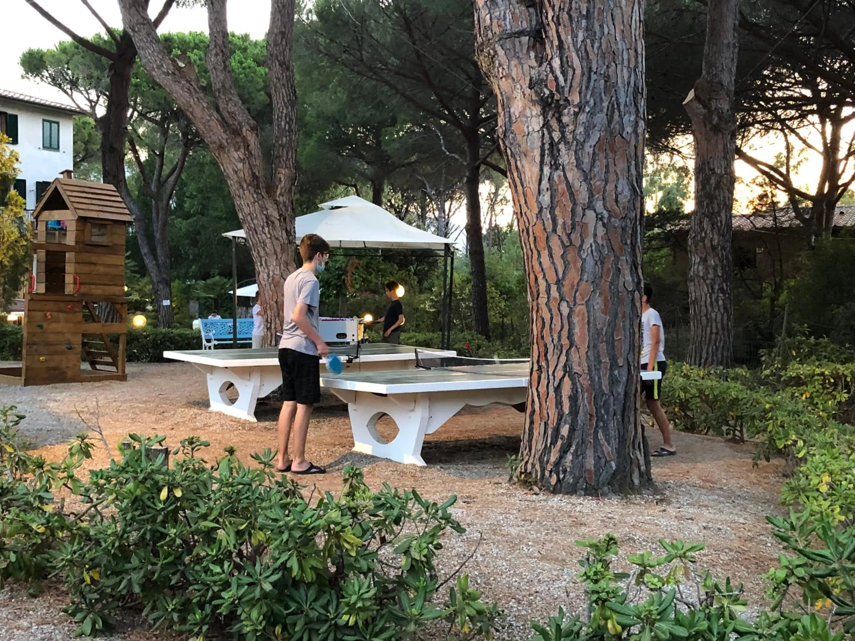 Garden in Hotel Brigantino