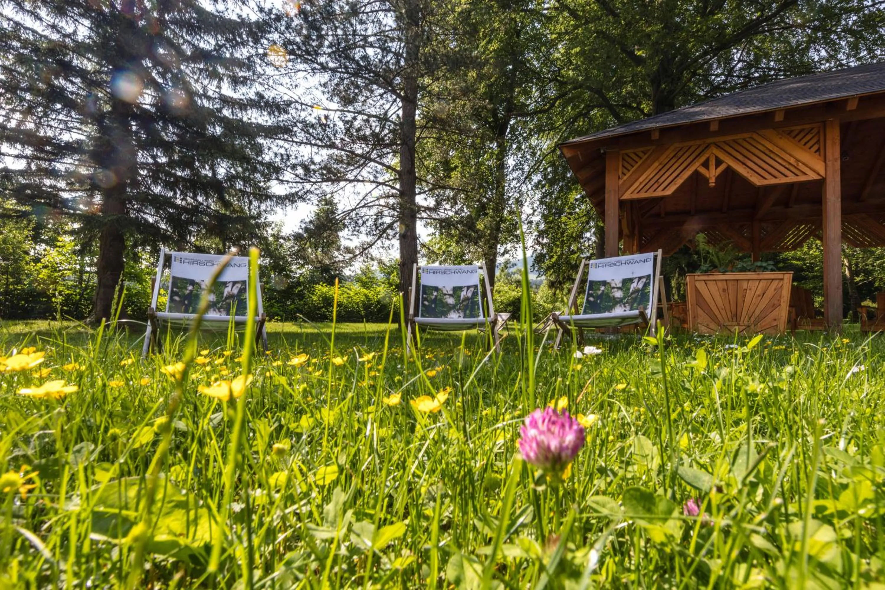 Garden in Parkhotel Hirschwang