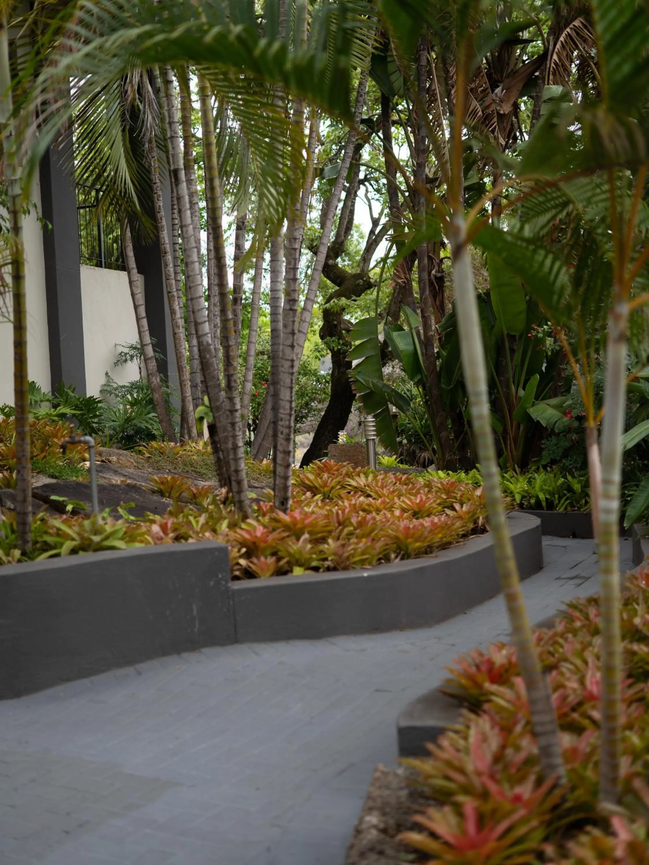 Garden in La Roca Guest House