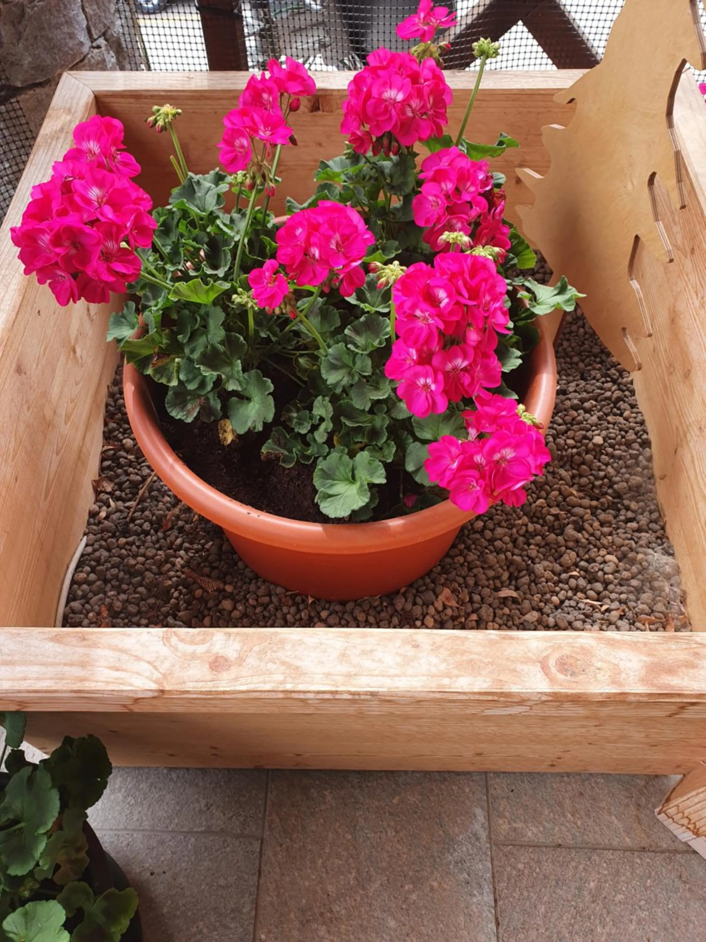 Balcony/Terrace in MH Olen Boutique Hotel