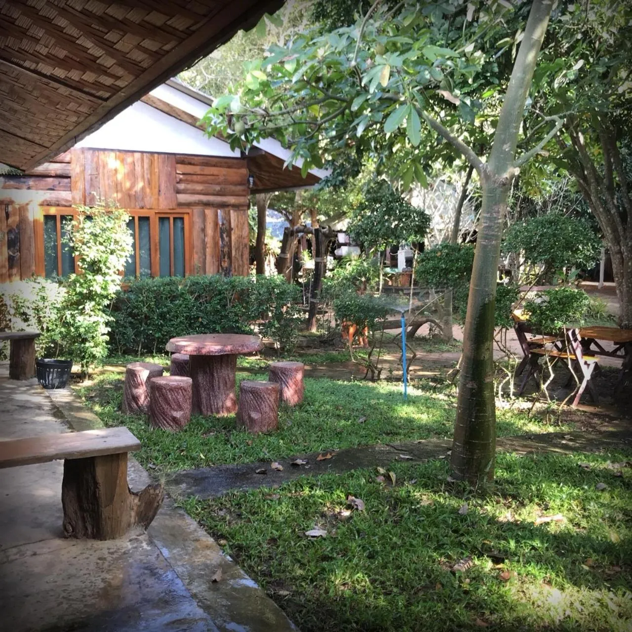 Garden in บ้านภทรพรรณ ขุนยวม แม่ฮ่องสอน PATARAPHAN HOUSE, Khunyuam, Maehongson, Thailand