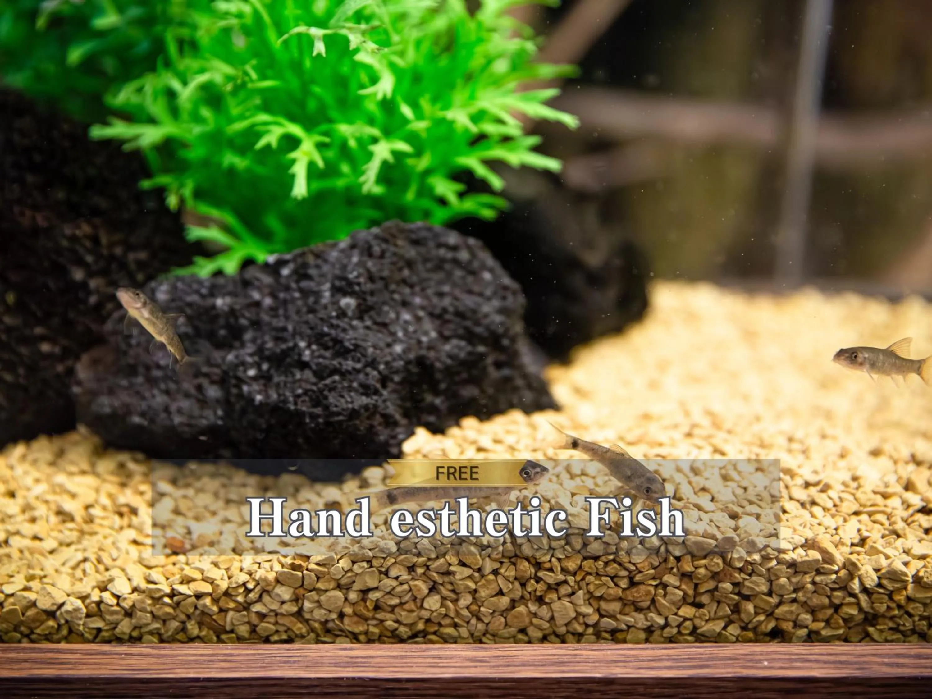 Text overlay in Hotel BaliAn Resort Kawasaki