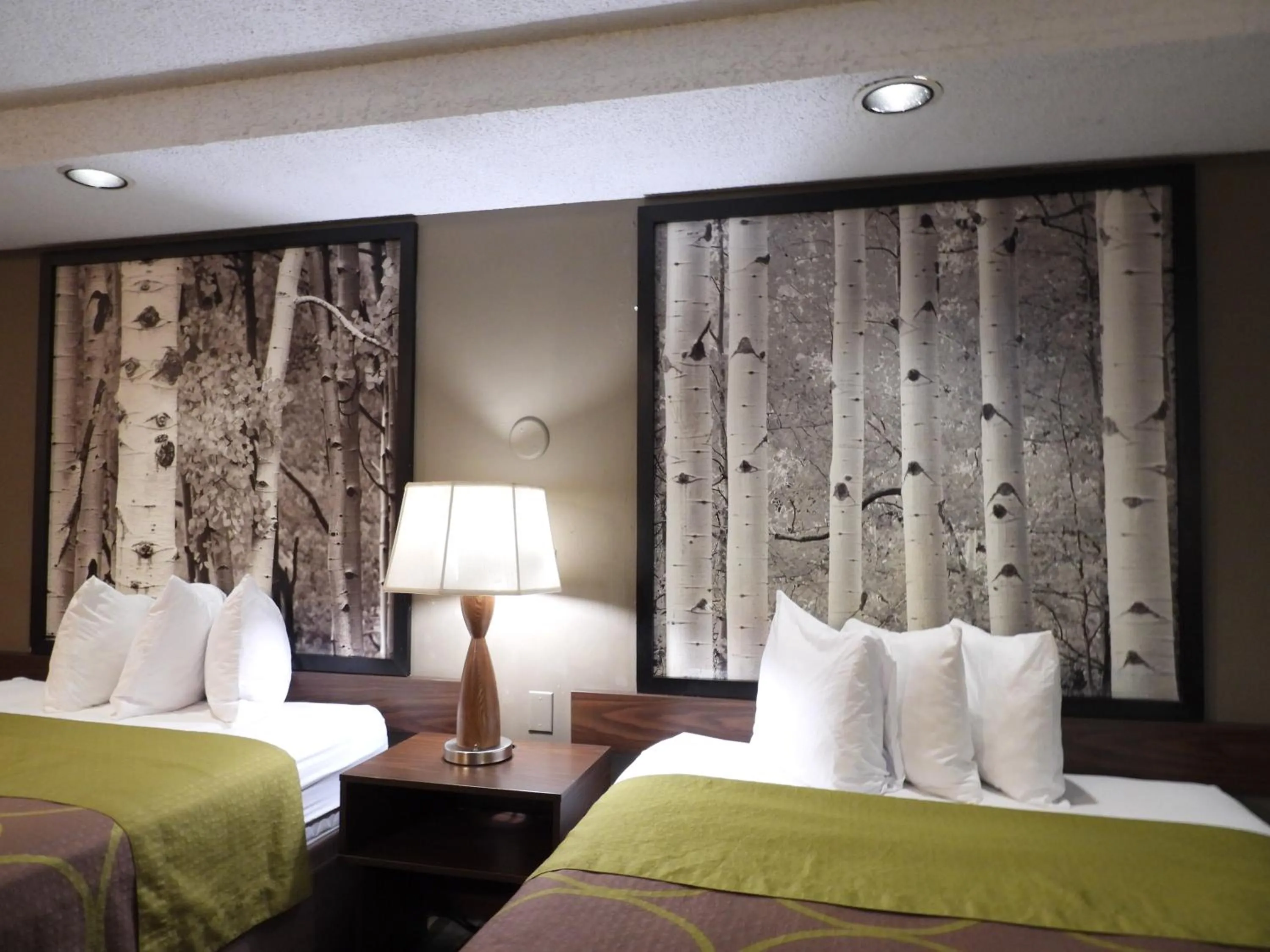 Bed in Super 8 by Wyndham Westminster Denver North