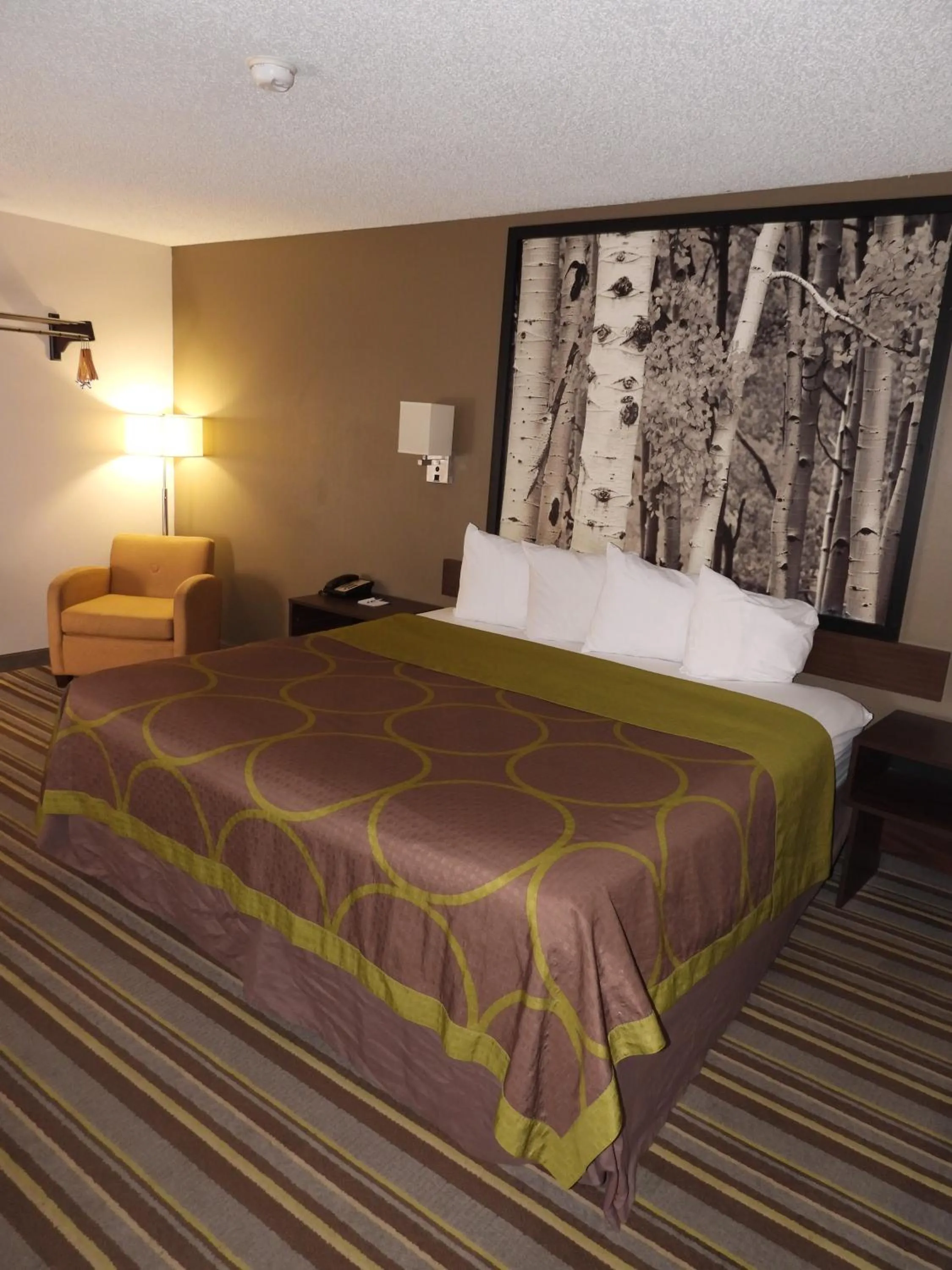 Bed in Super 8 by Wyndham Westminster Denver North