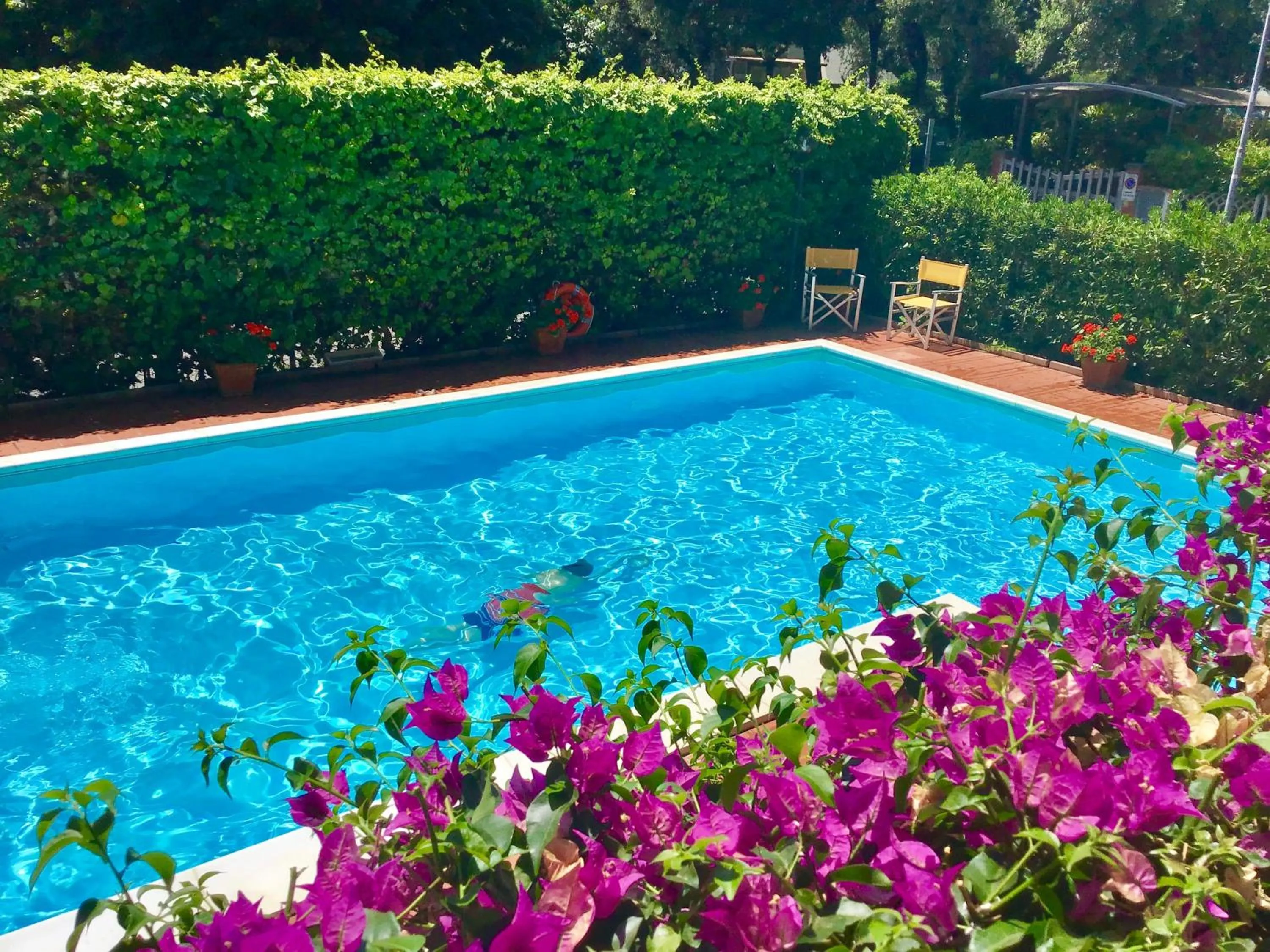 Pool view in La Coccinella Residence