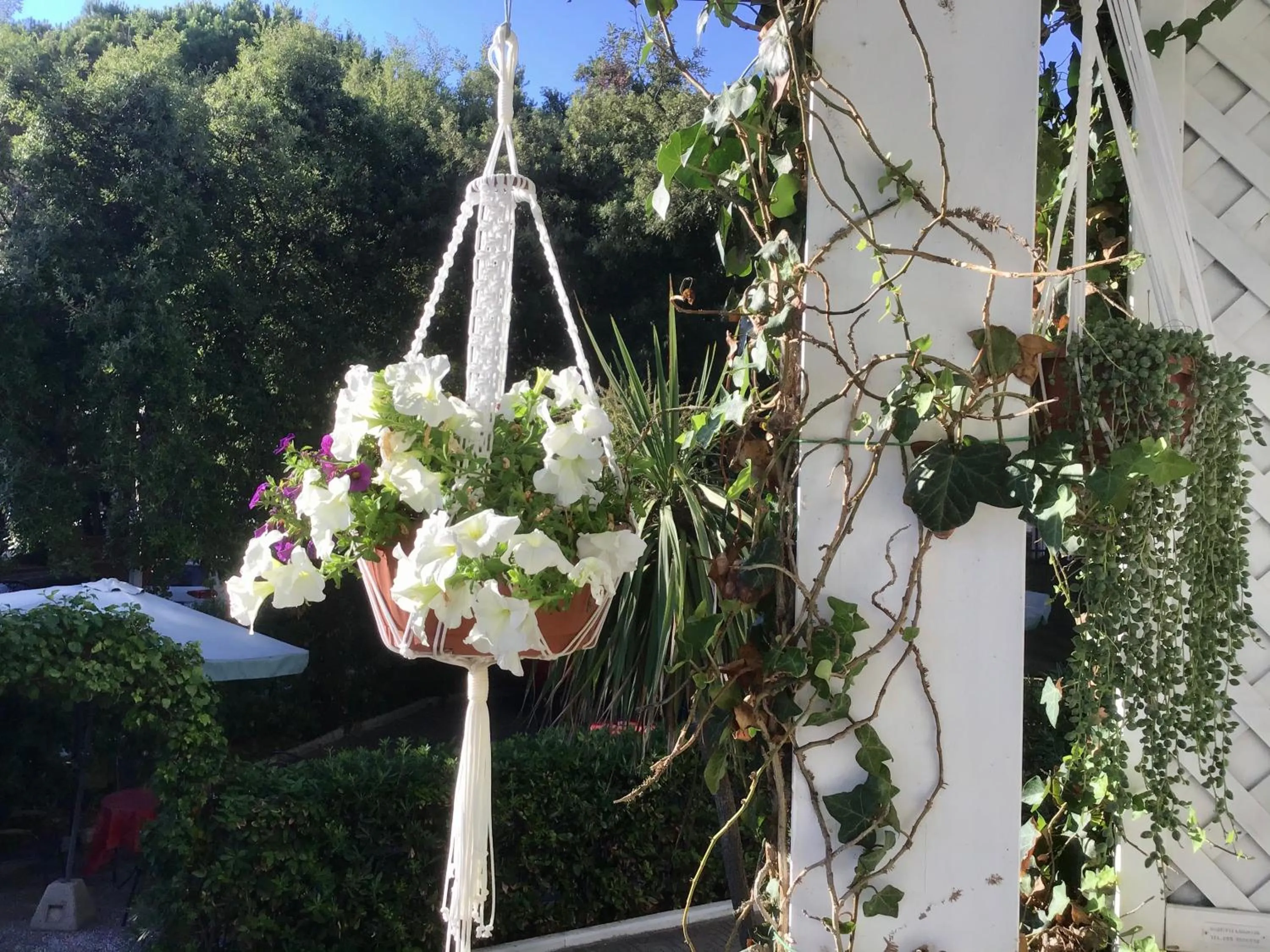 Decorative detail in La Coccinella Residence