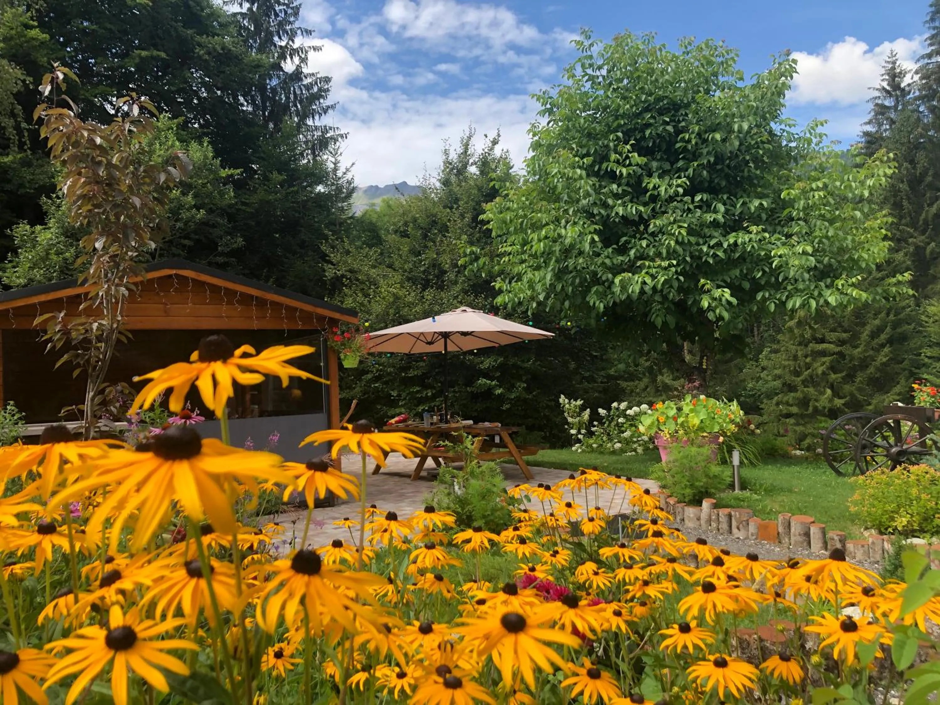 Patio in Le Moulin des Olirics