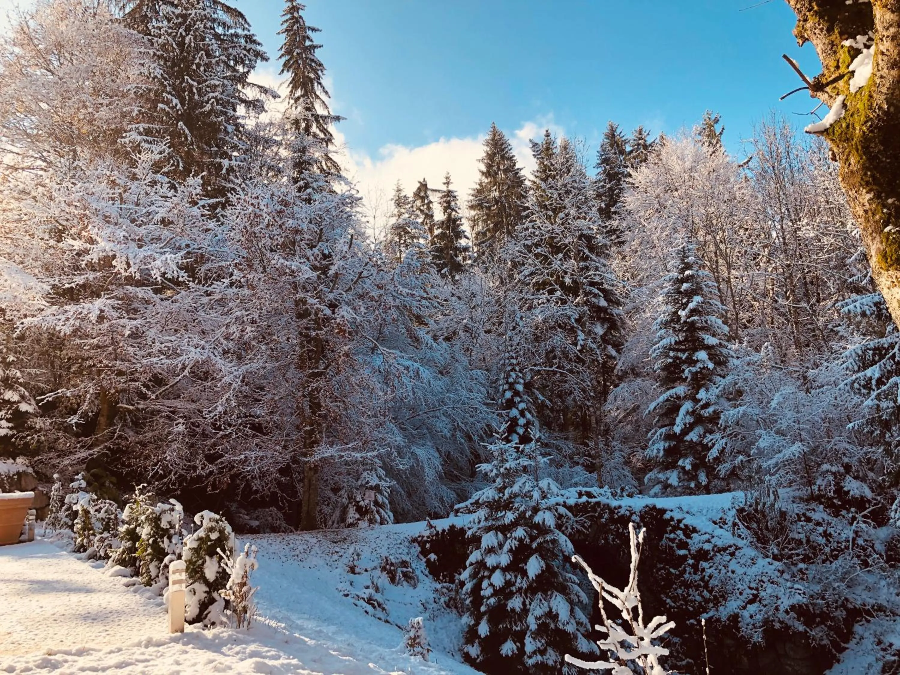 Natural landscape in Le Moulin des Olirics