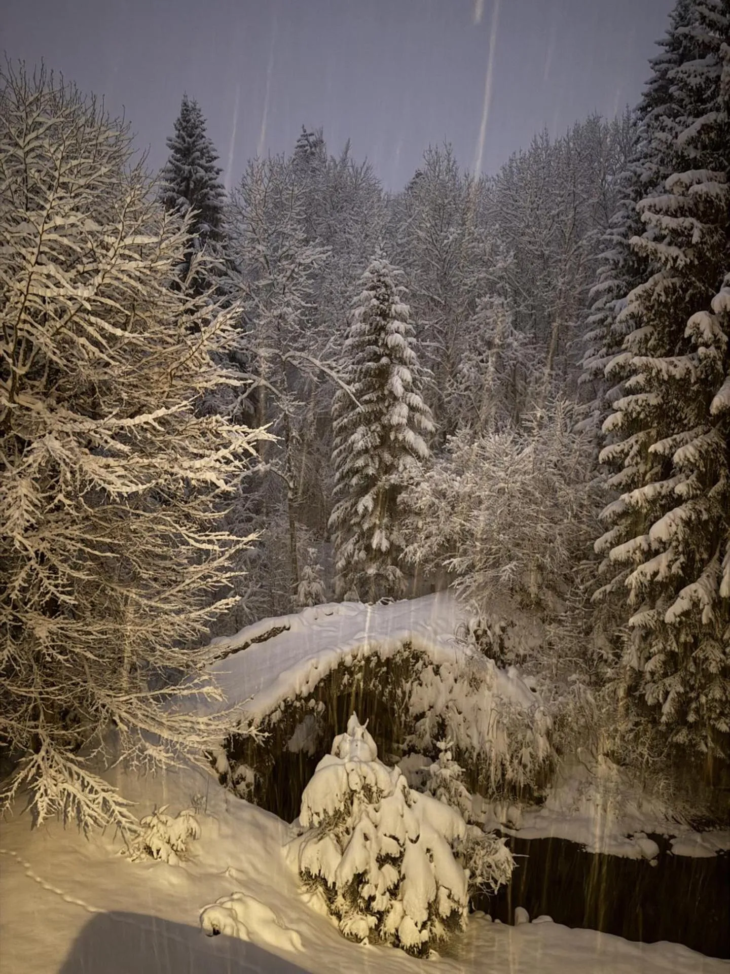 Garden in Le Moulin des Olirics