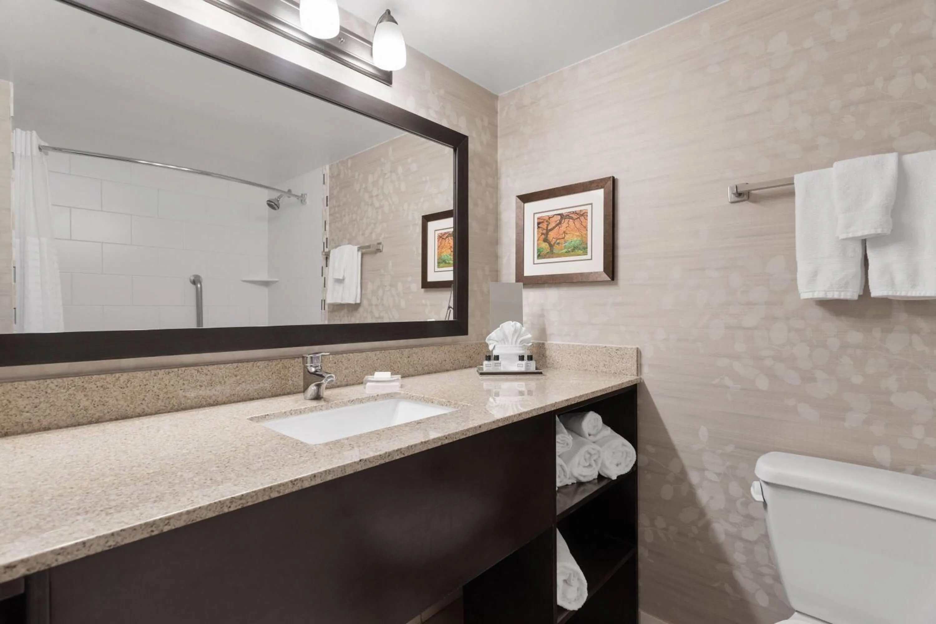 Bathroom in Wyndham Minneapolis South Burnsville