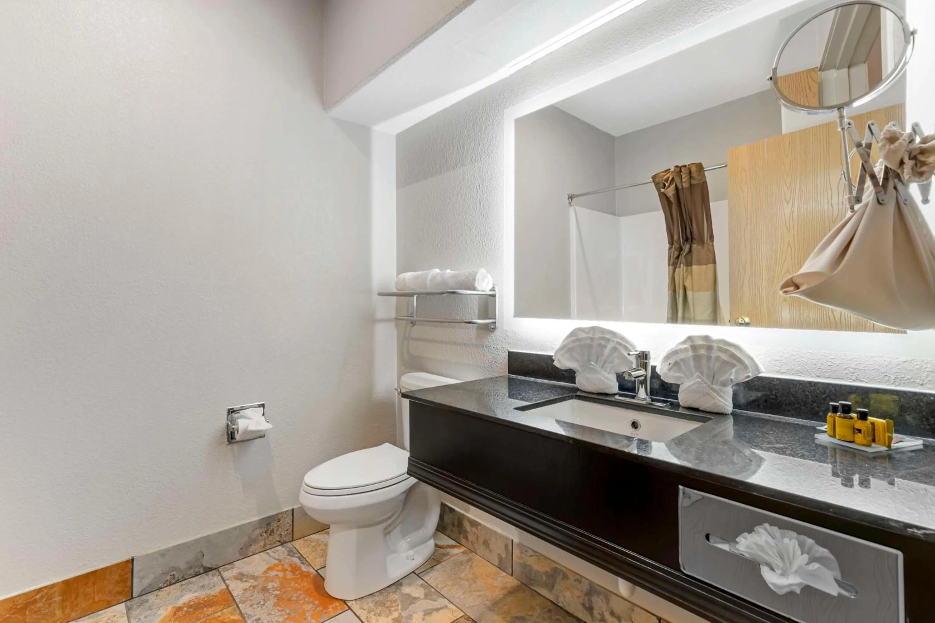 Bathroom in Best Western Plus Des Moines West Inn & Suites