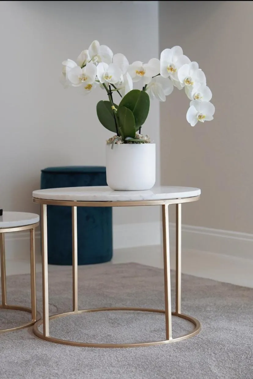 furniture in Hotel London