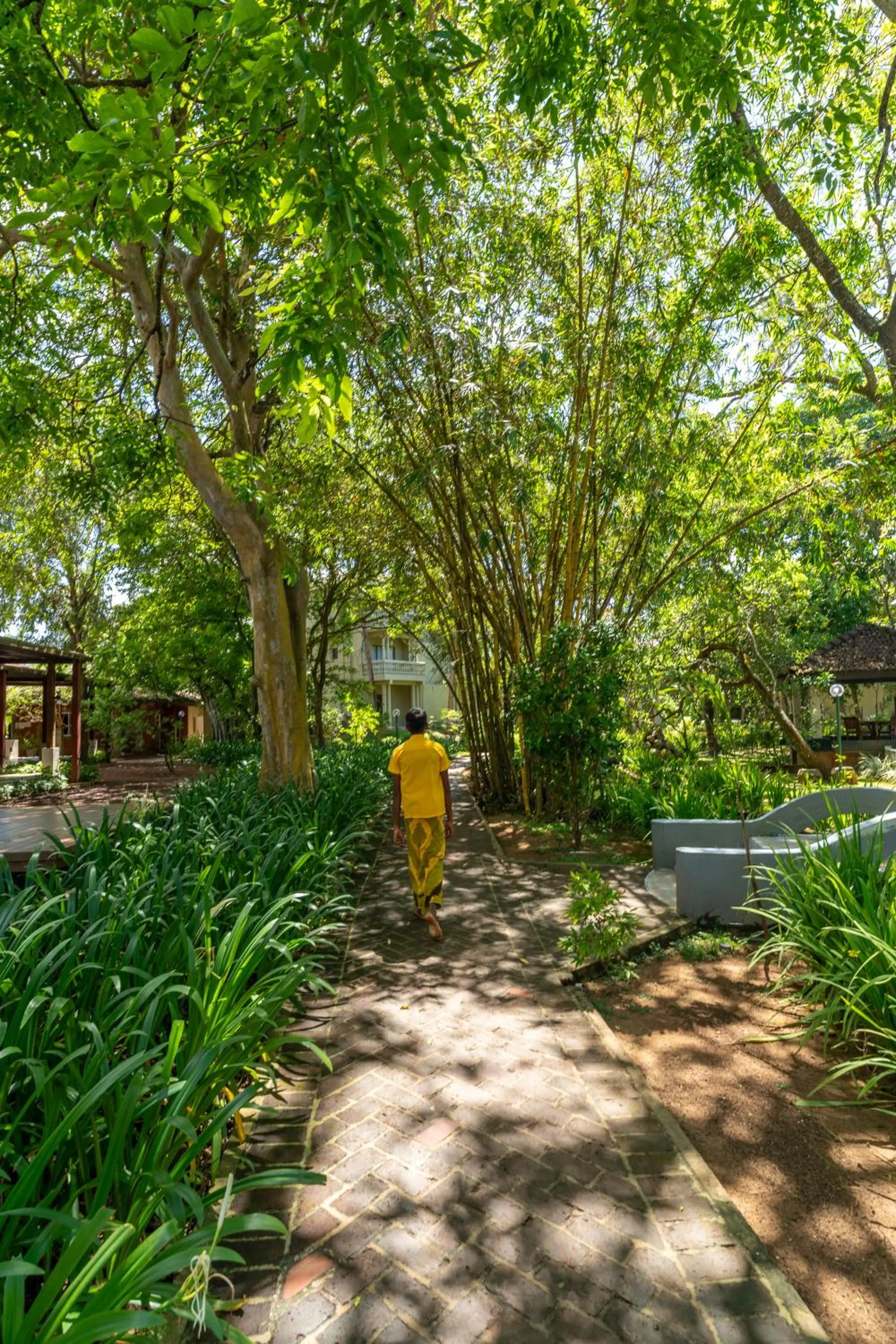 Garden in Siddhalepa Ayurveda Resort - All Meals, Ayurveda Treatment and Yoga