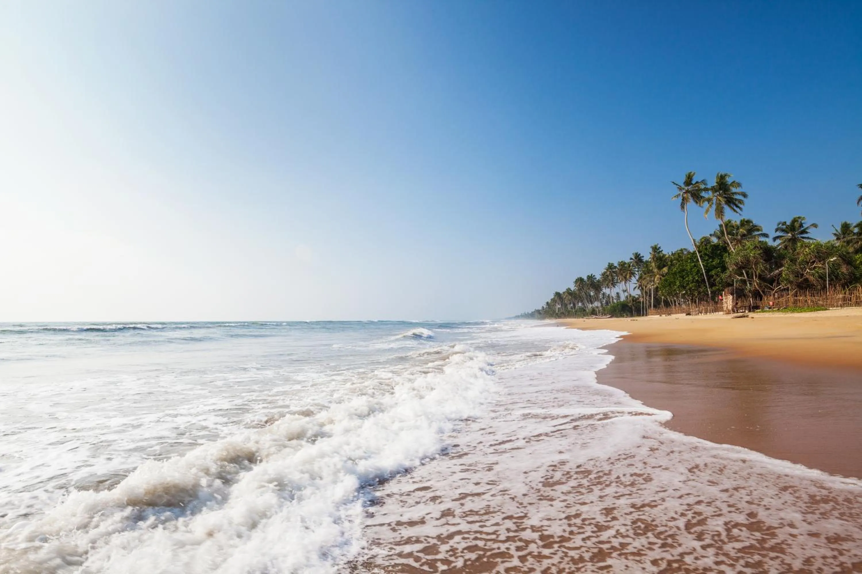 Beach in Siddhalepa Ayurveda Resort - All Meals, Ayurveda Treatment and Yoga