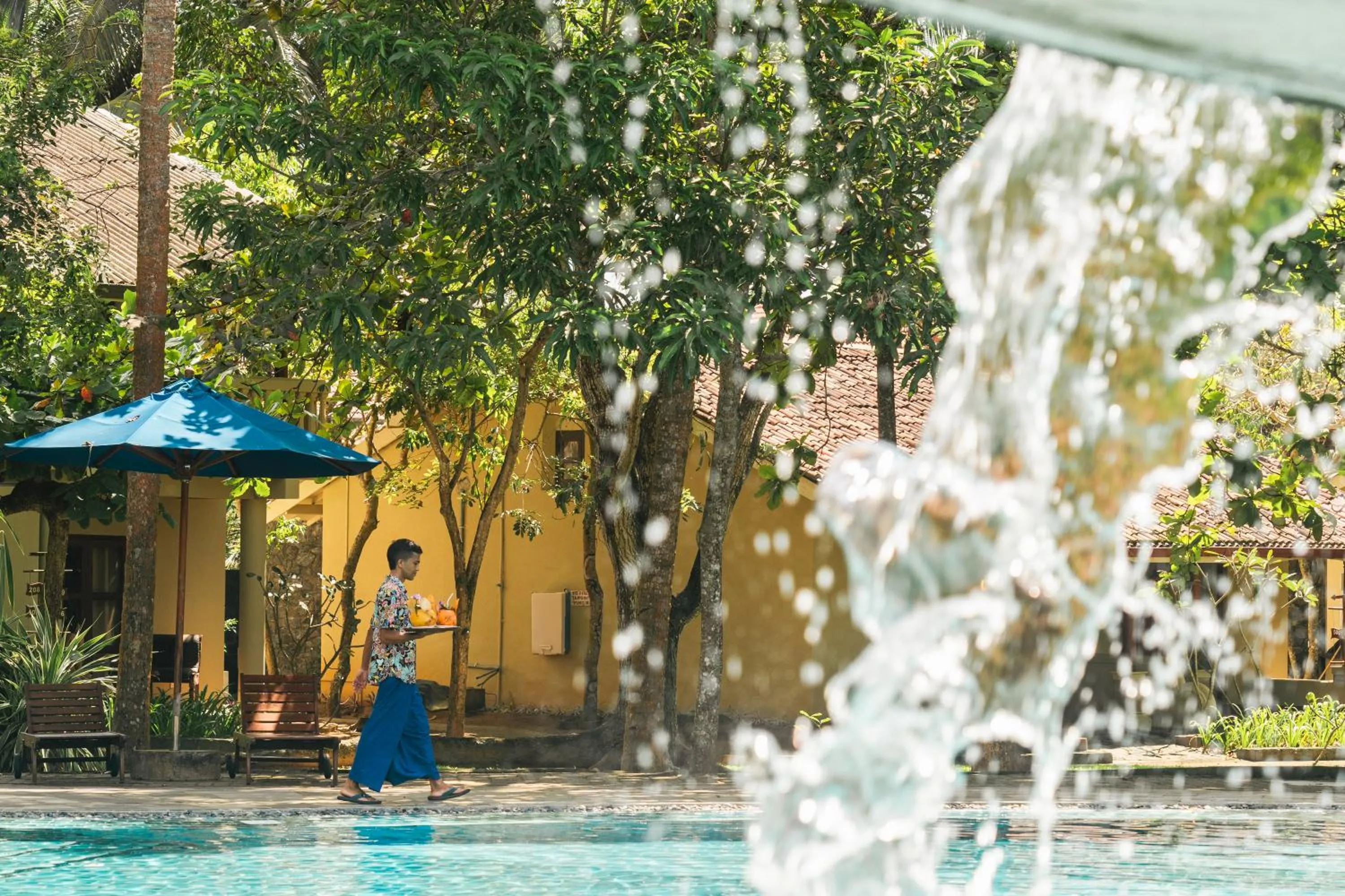 Pool view in Siddhalepa Ayurveda Resort - All Meals, Ayurveda Treatment and Yoga