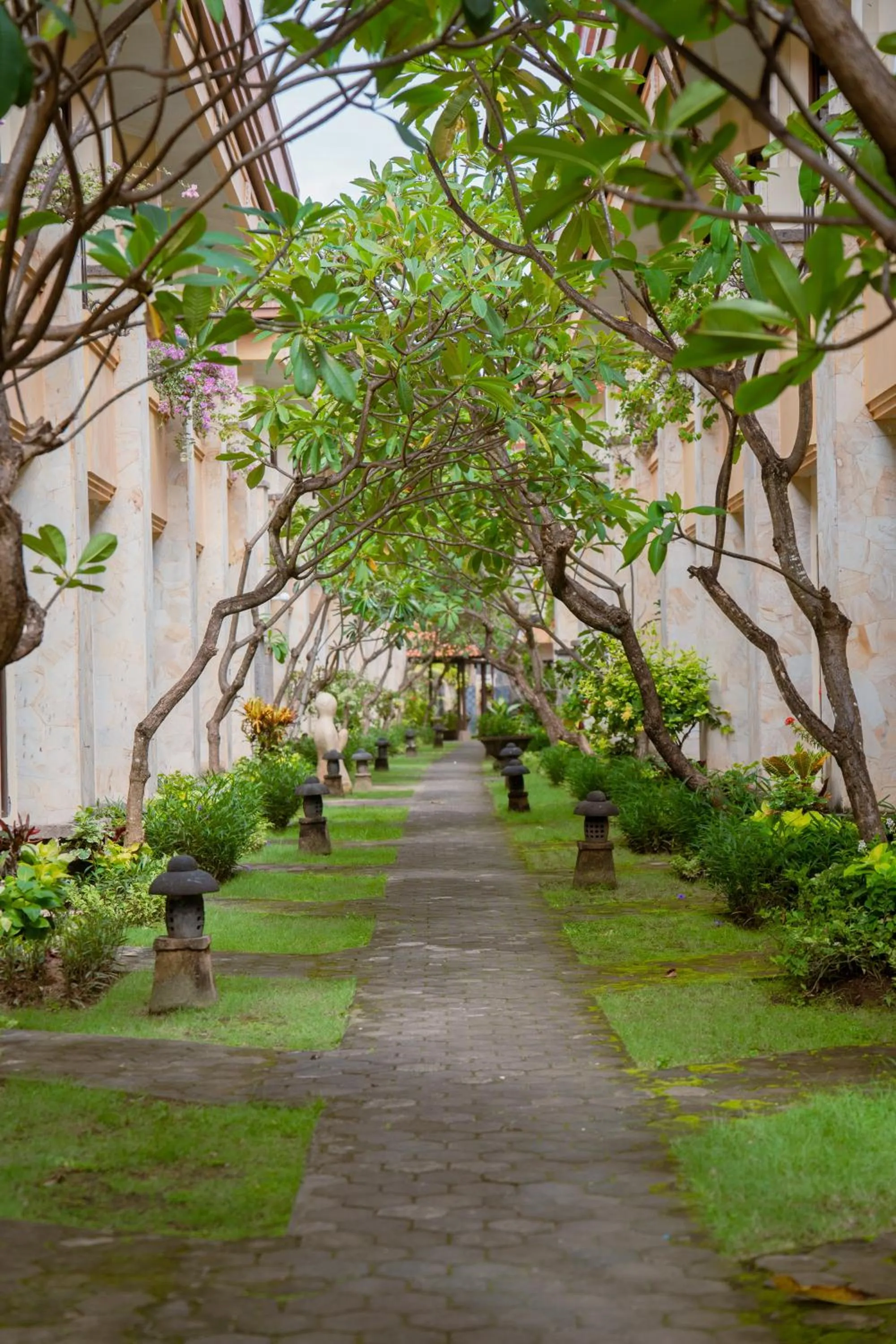 View (from property/room) in Pelangi Bali Hotel & Spa