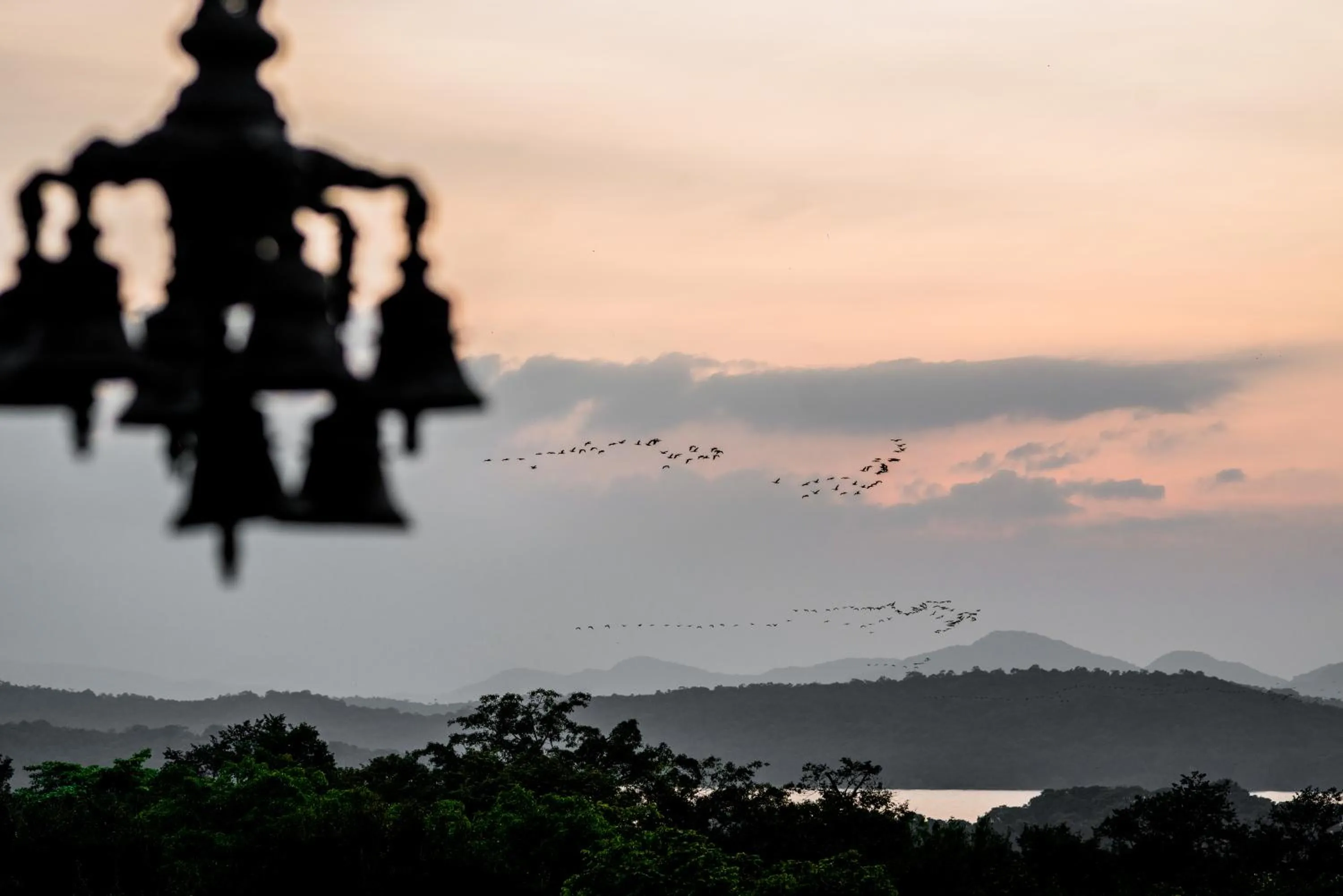 Natural landscape in Lavendish Lake Giritale - Former Giritale Hotel