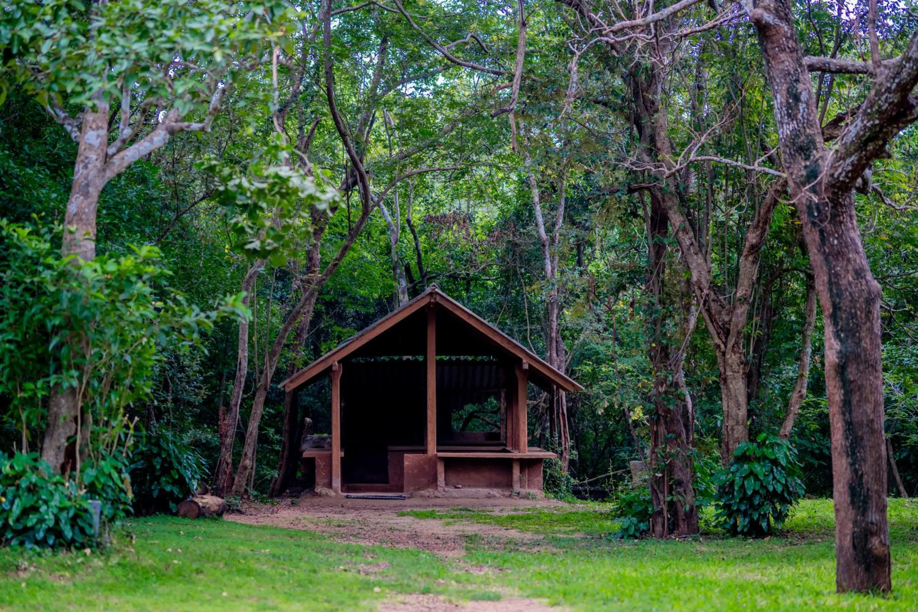Natural landscape in Lavendish Lake Giritale - Former Giritale Hotel