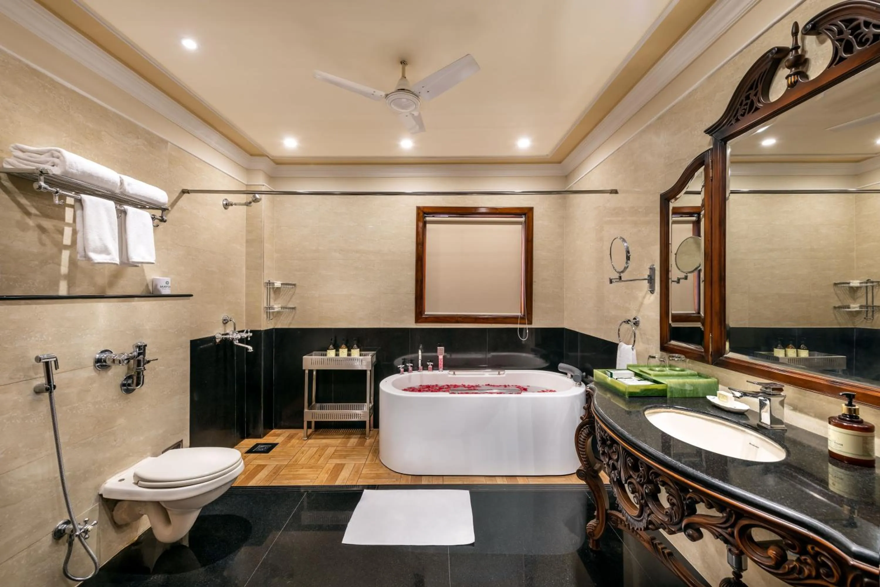 Toilet in Mayfair Lagoon